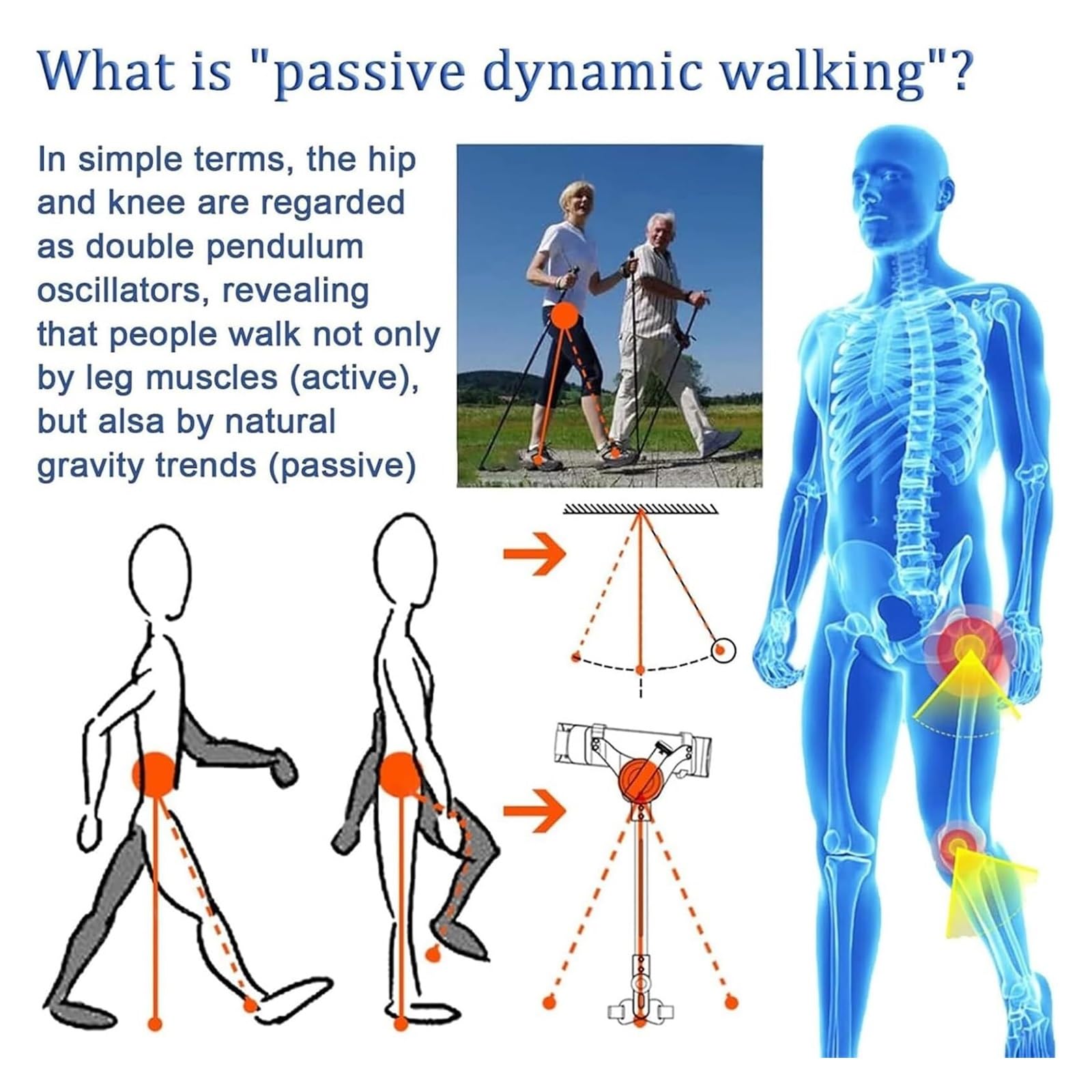 Ausilio per Camminare, Gambe‑Esoscheletro Bionico Regolabili, 3 Livelli | Movimento naturale, uso quotidiano e attività esterne, anziani e adulti, maggiore sicurezza, senza alimentazione