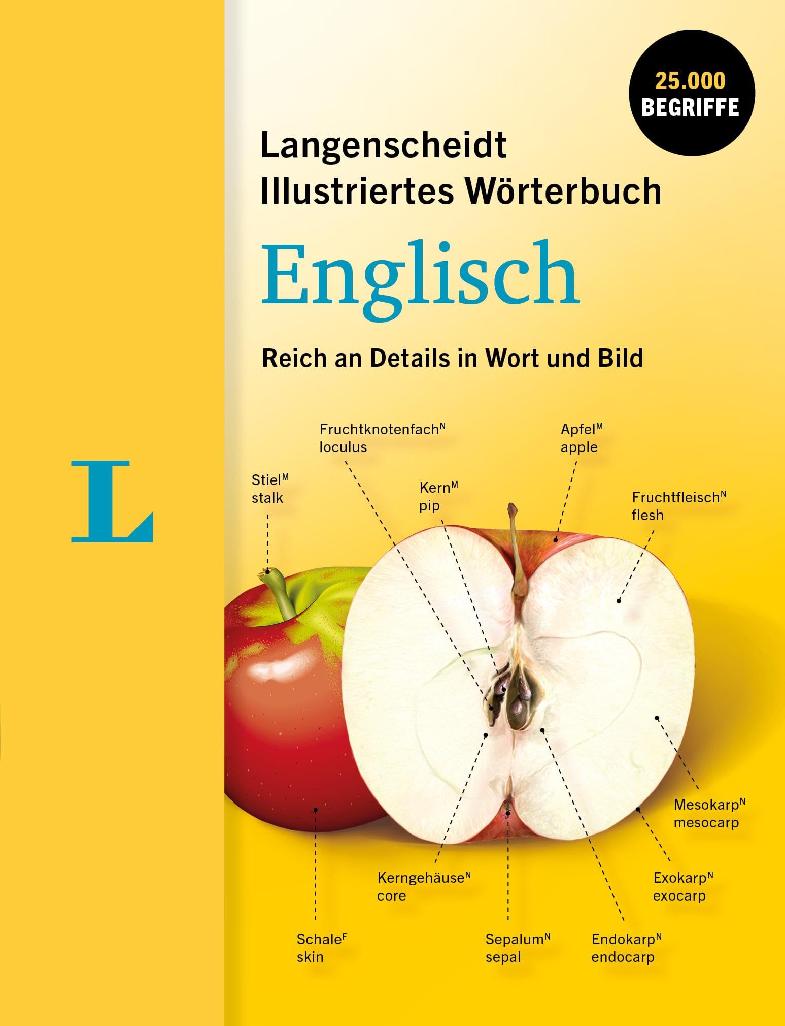 Langenscheidt Illustriertes Wörterbuch Englisch: Reich an Details in Wort und Bild