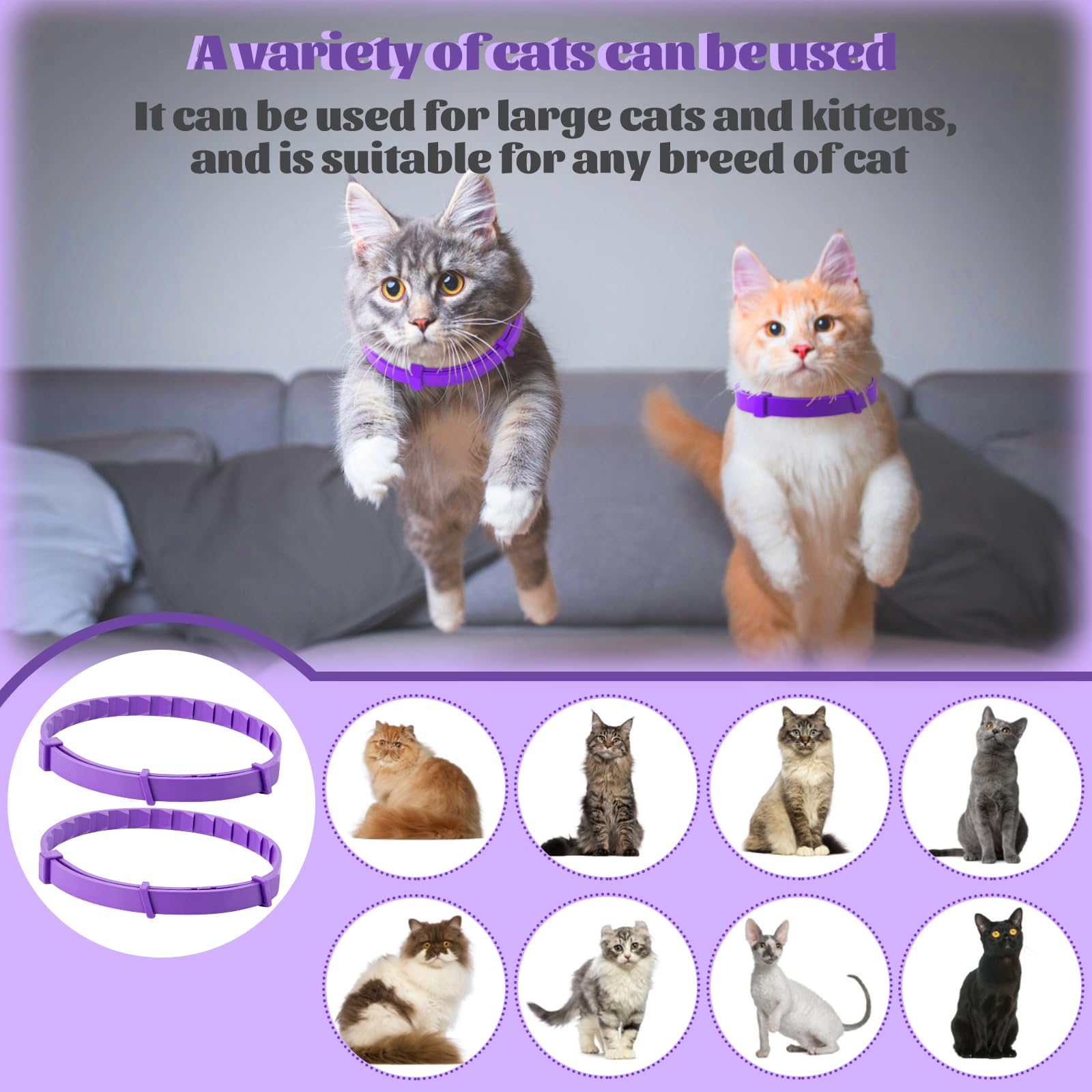 4 Pack Calming Collar for Cats & Kittens - Cat Pheromone Collars for Anxiety Relief for Peeing,Meowing,Fighting,Scratching - image 6
