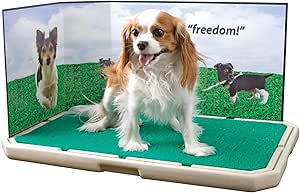 Amazon.com: PetSafe Piddle Place Super Saver Kit con tratamiento Bio+ ...