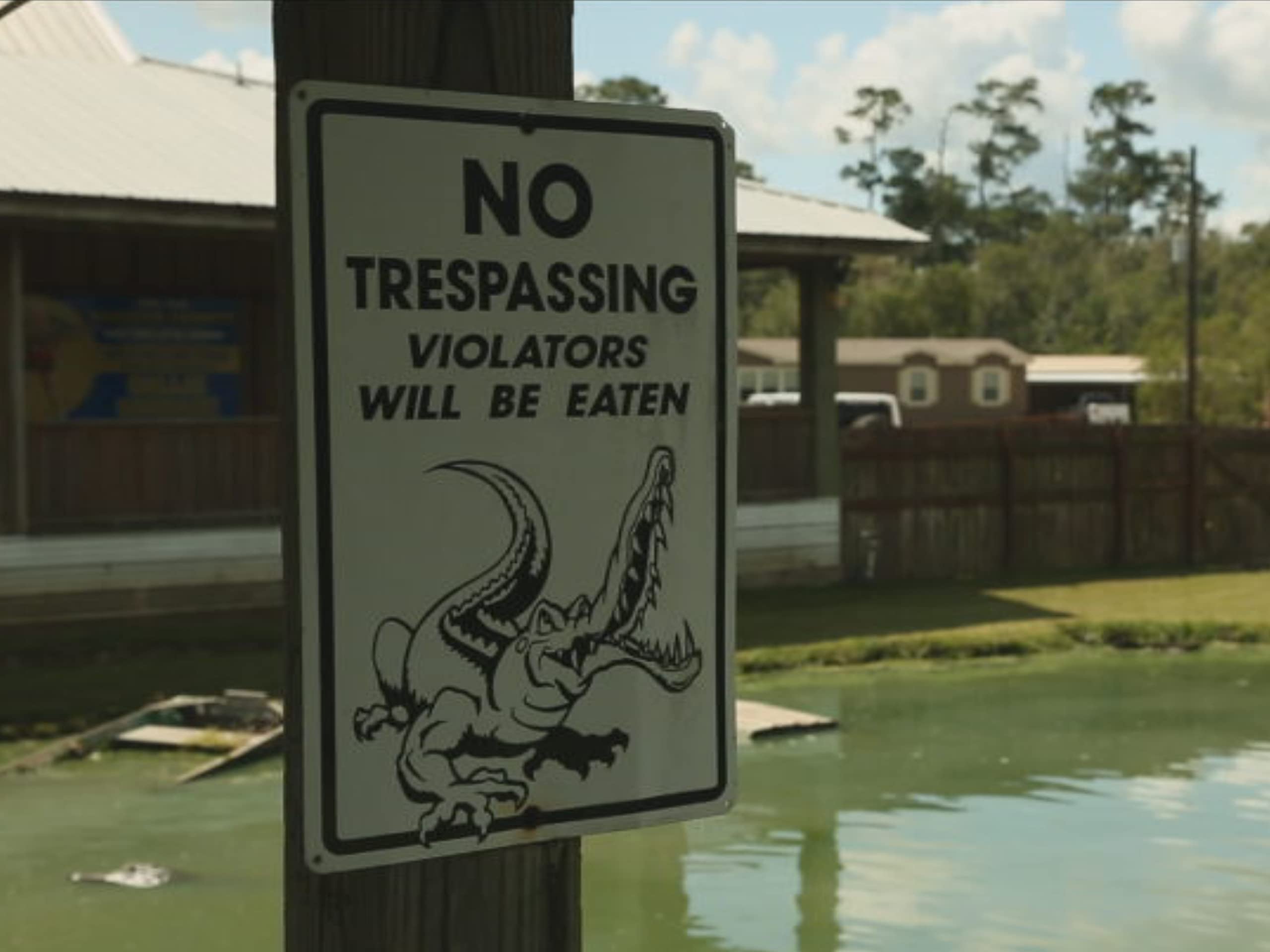 Watch Lone Star Law - Season 2 | Prime Video