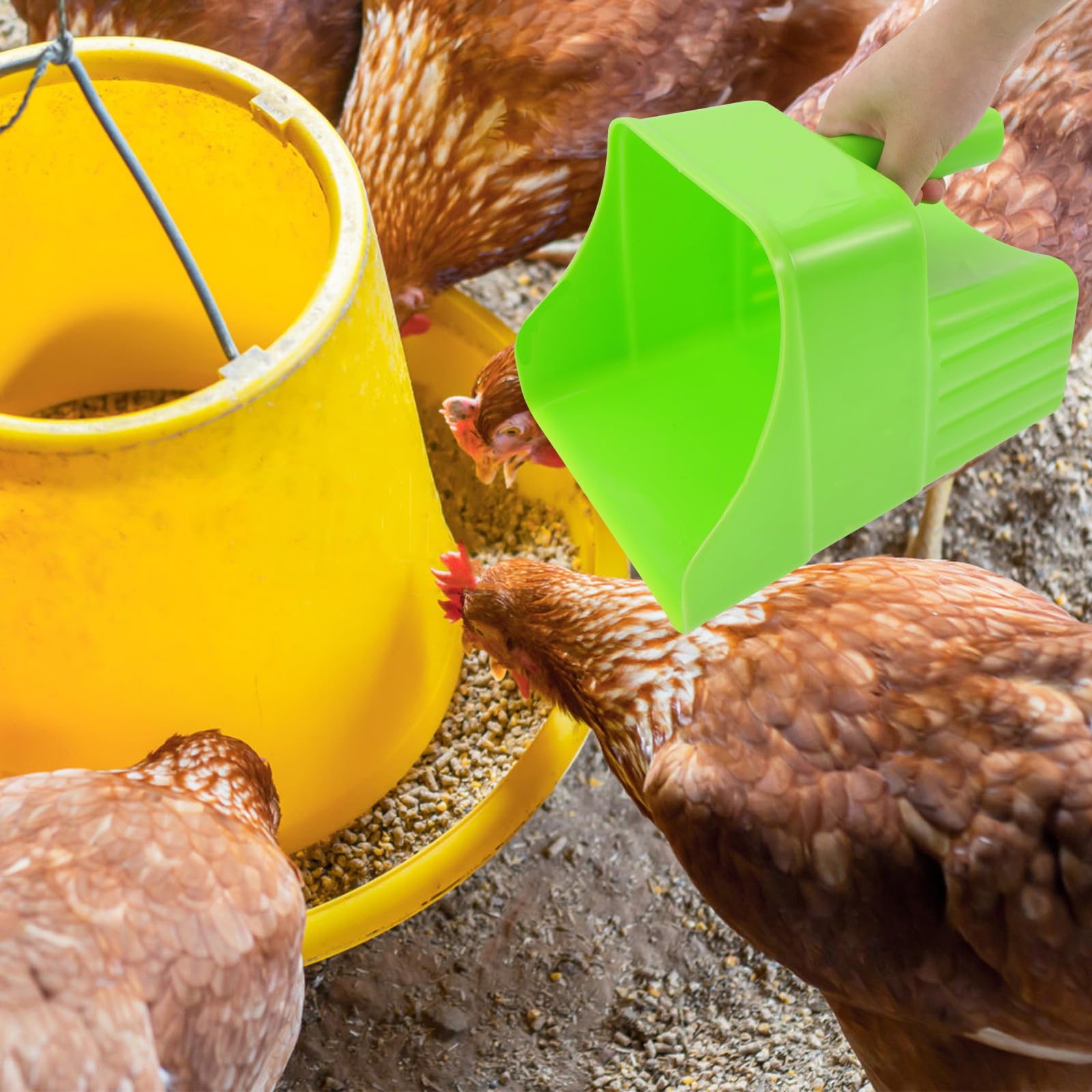 Kunststoff Futterschaufel aus Pp Grün für Farmen und Obstgärten