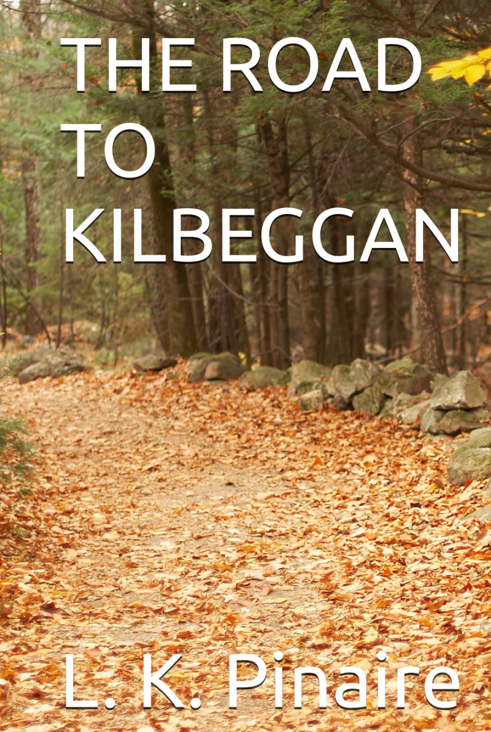 THE ROAD TO KILBEGGAN