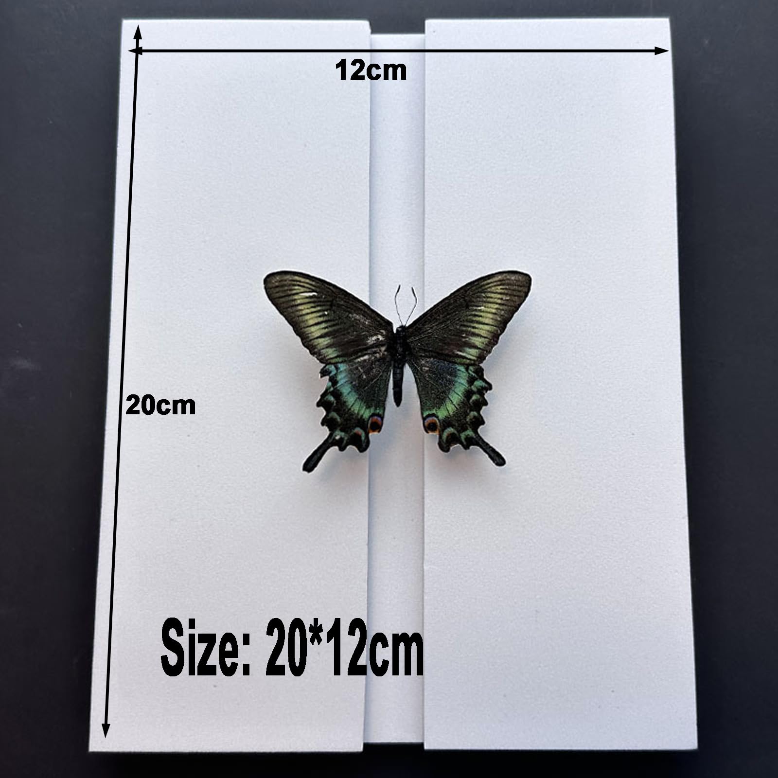 Insect Specimen Tools Kit, Butterfly Specimen Tools for Classroom Teaching, with EVA Making Table, Insect Pinning, Insect Display Case, Specimen Tools (Butterfly Nail Board)