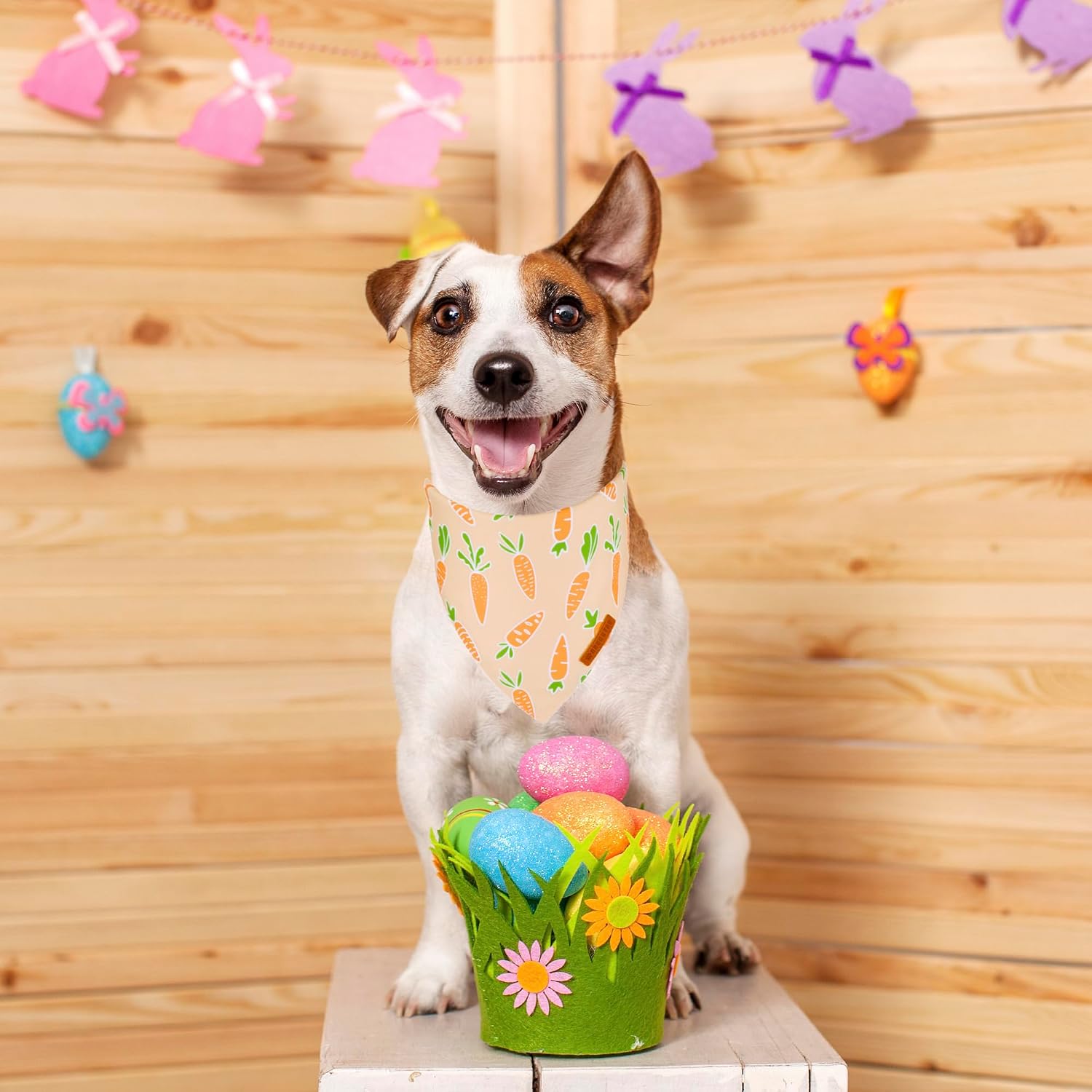 ADOGGYGO Easter Dog Bandanas, Rabbit Carrot Pet Scarf, Multi Size Offered, Orange Blue Easter Bandana for Medium Large Dogs Pets (Large) image 2