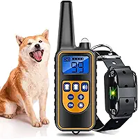 Colar Coleira Treinamento para Pet controle remoto impermeável recarregável eletrônico
