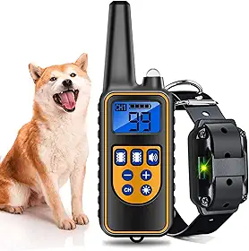 Colar Coleira Treinamento para Pet controle remoto impermeável recarregável eletrônico