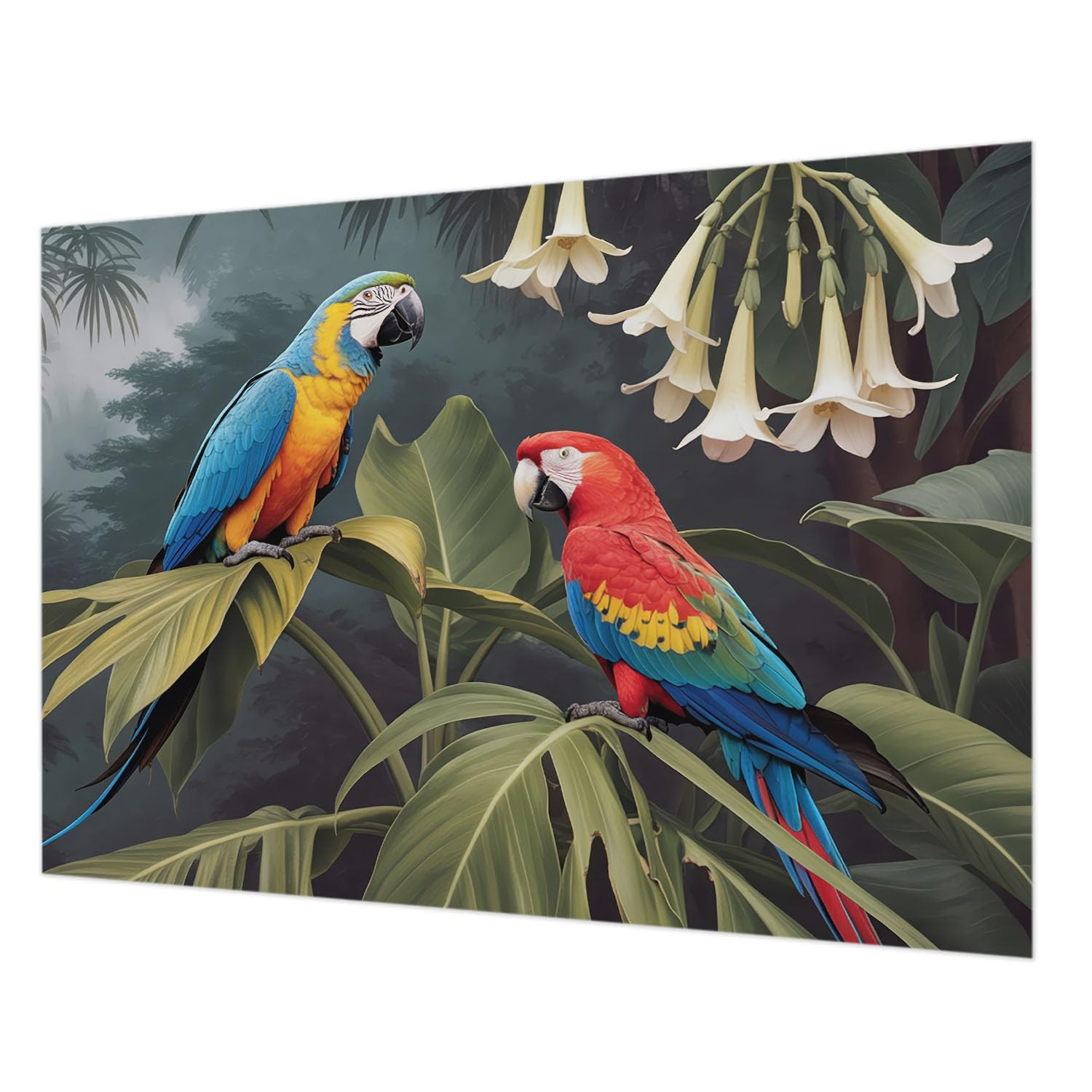 Papier peint intissé haute qualité 312x219 cm panoramique grand format perroquets