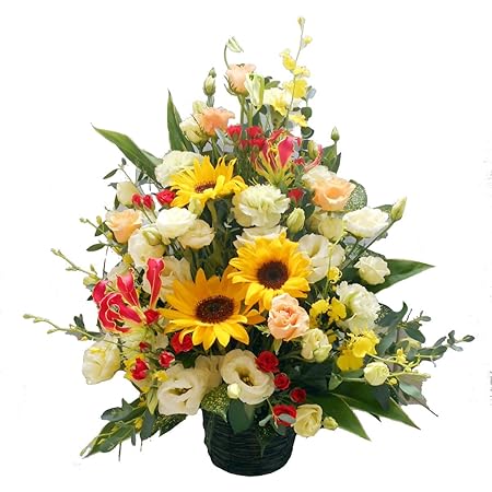 Amazon 誕生日 開店祝い お祝い フラワーアレンジメント Lサイズ カラフルでポップに プリザーブドフラワー オンライン通販