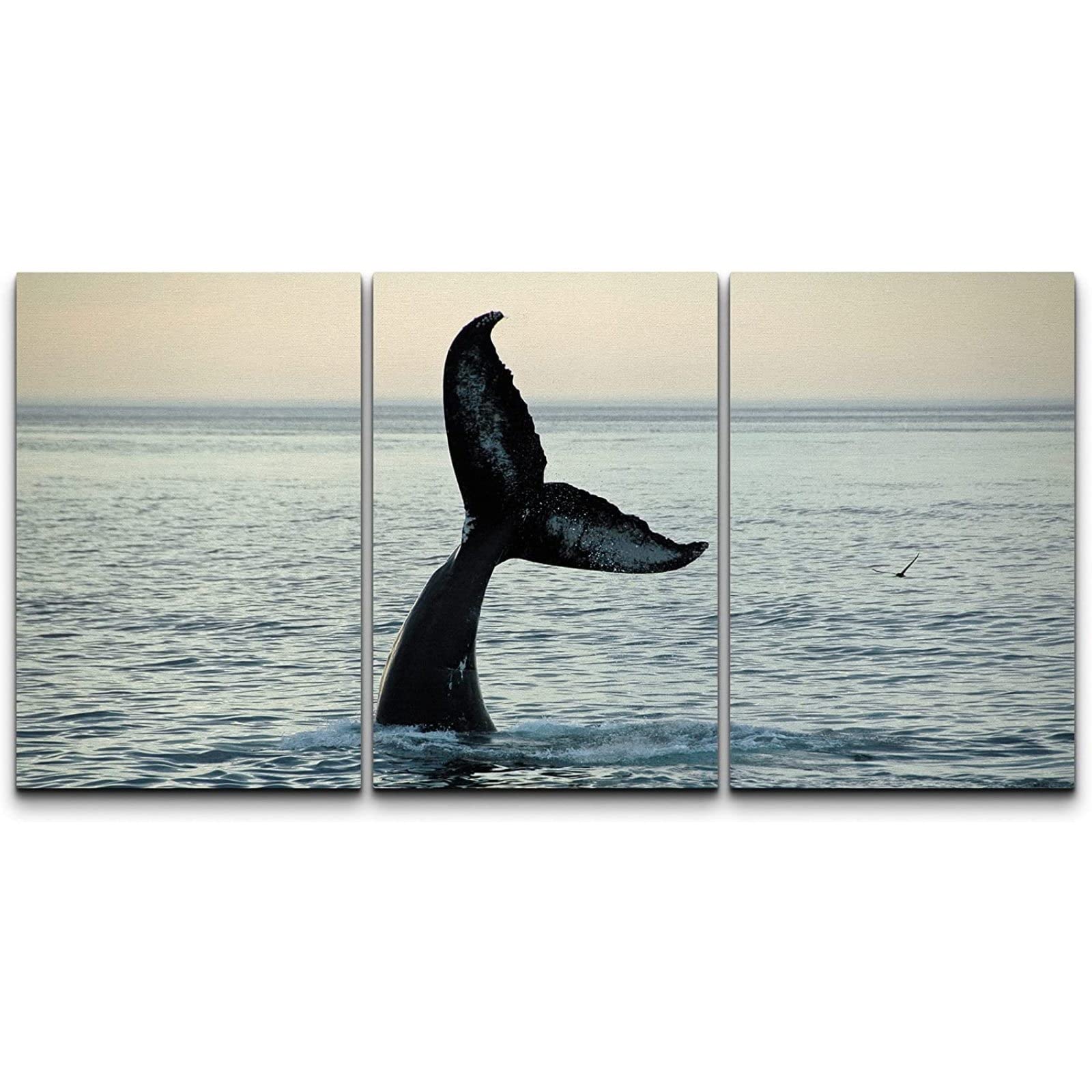 Tableau Déco Baleine à Bosse Sur Verre Acrylique - Impression HD, Cadre Inclus, Décoration Murale Moderne