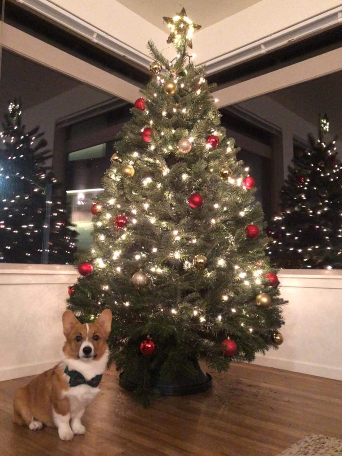 7124UejbvfL. AC SL1500