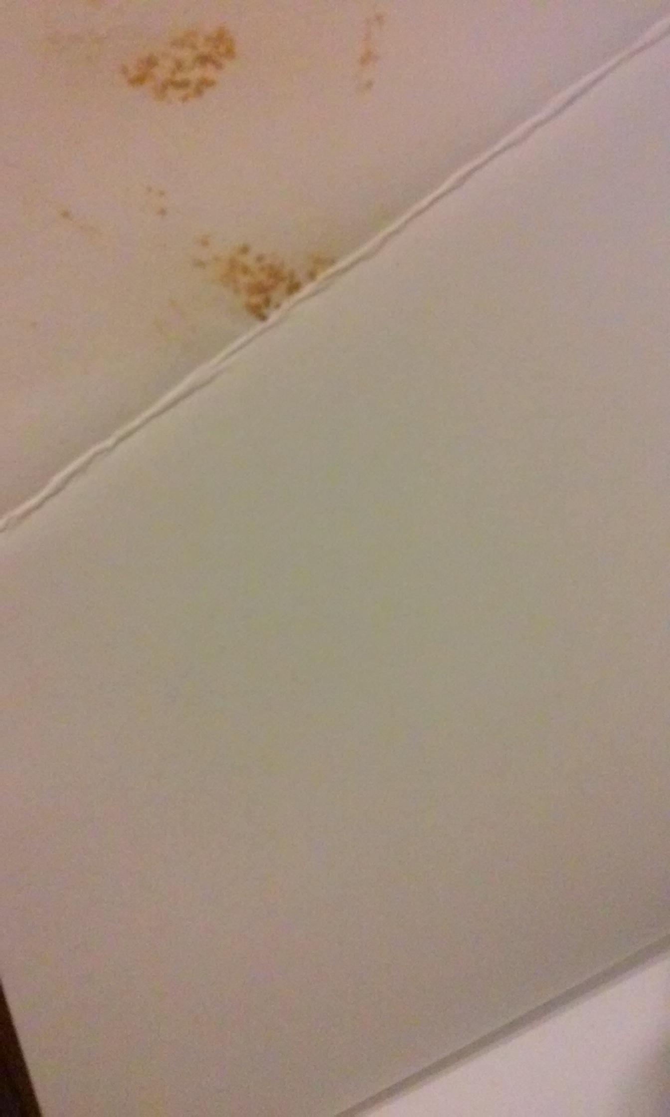 Basic Legal Research: Tools and Strategies - Image 2