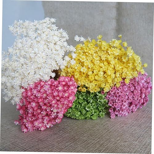 Miniatura 3 de Decoración del hogar, 100 piezas de mini flores secas, mini margarita floral natural para decoración flores decorativas gelatina pequeña estrella