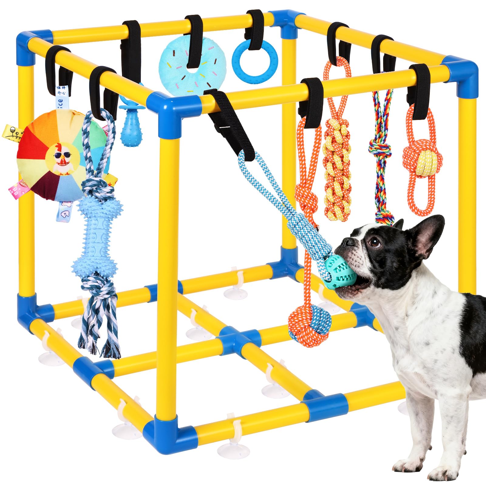 WLLEYAY Welpenspielstudio für kleine Hunde mit 10 hängenden Spielzeugen, abnehmbarer Indoor-Dschungel-Fitnessstudio, PVC-Rahmen mit verstellbaren Bungee-Gurten, interaktives Hundespielzeug