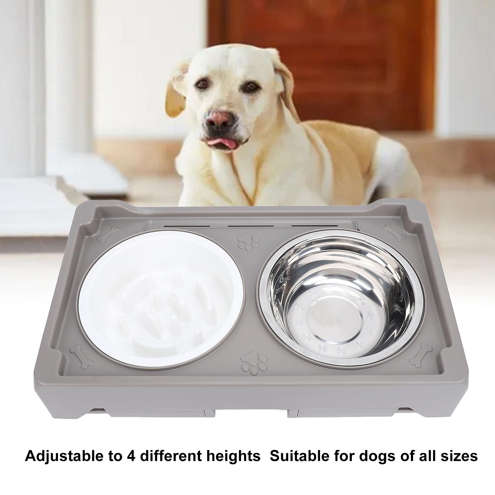 Asixxsix Gamelle Surélevée pour Chien, Hauteur Réglable sur 4 Niveaux, Gamelle Surélevée en Acier Inoxydable avec Pieds Pliables Antidérapants pour Chiens de Petite, Moyenne et Grande Taille (Grey)