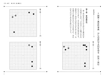 囲碁・裏定石事典 少しの変化で大利を得る (囲碁人ブックス