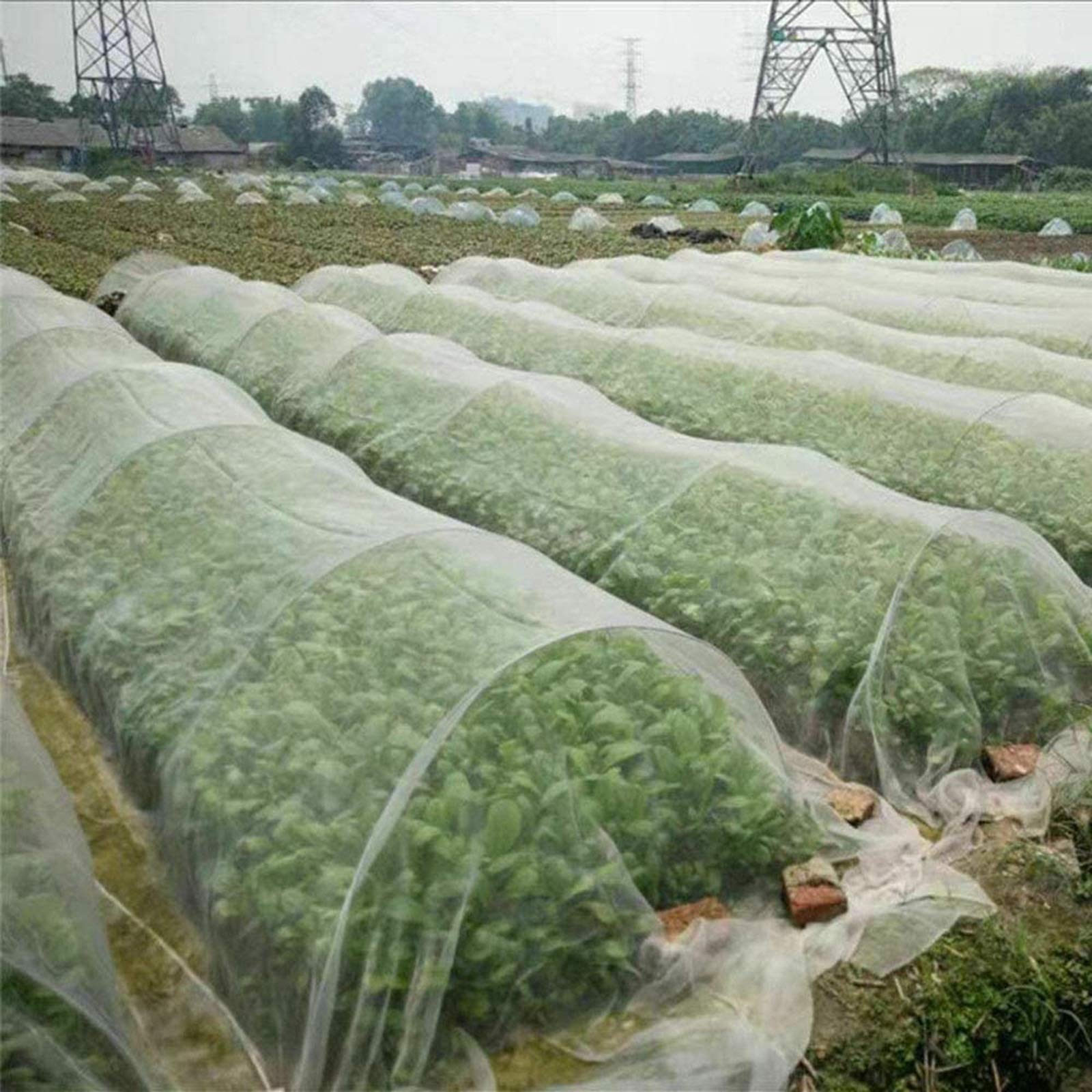 Red protectora para jardín, malla antipájaros, para plantas, red de jardín fina para flores, frutas y verduras, tamaño 5 x 10 m, control eficaz de plagas y protección de plantas