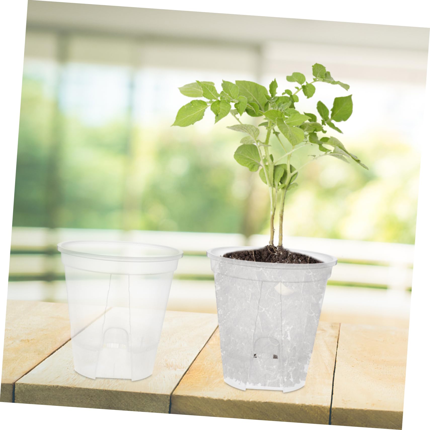 BESPORTBLE 6 Pièces Bassin De Montagne Vert Transparent Jardinières Auto-drainantes D'intérieur Pots De Pépinière Pot De Fleur Transparent Citrouille Pots De Fleurs avec Drainage Pot Clair PP