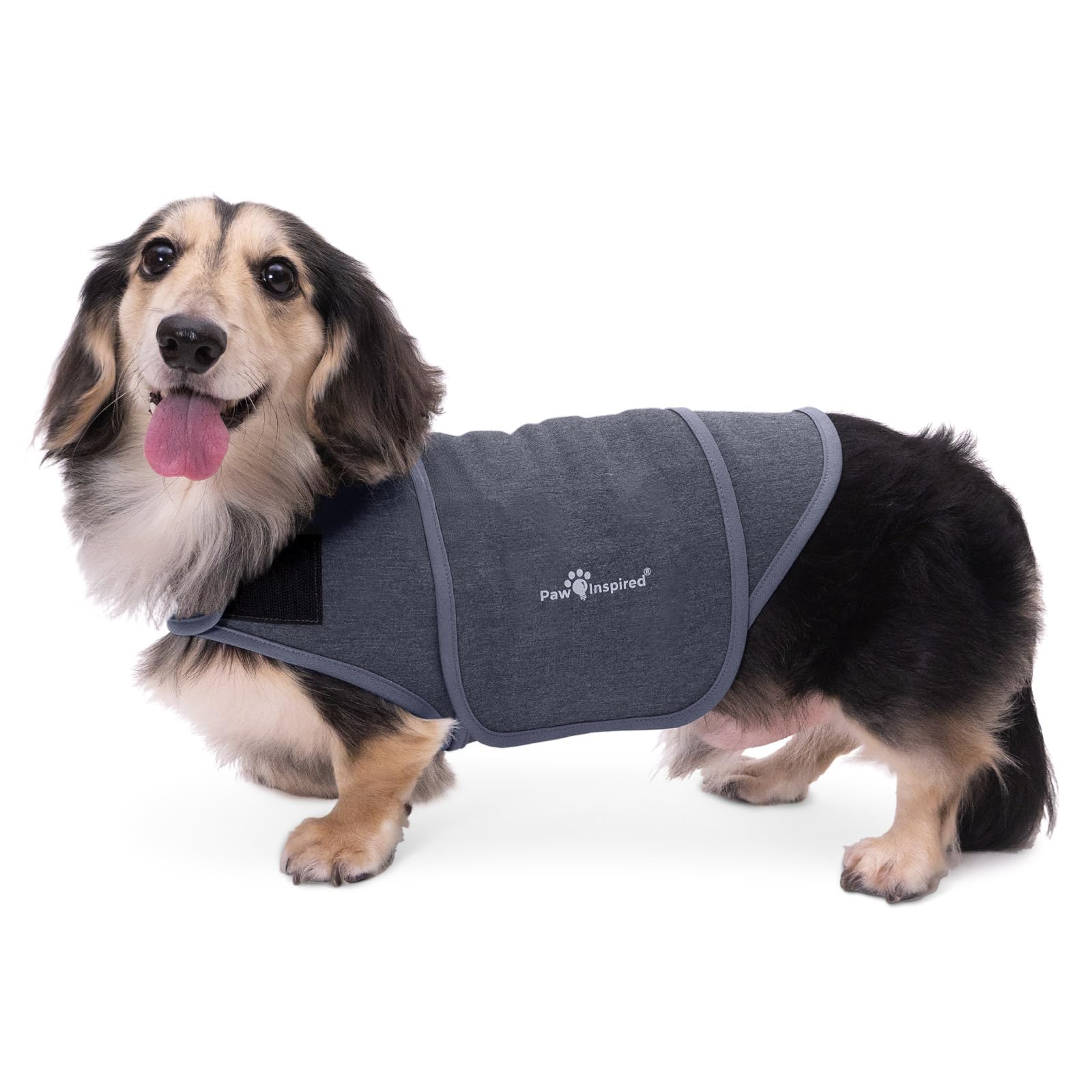 Paw Inspired Anxiety Vest