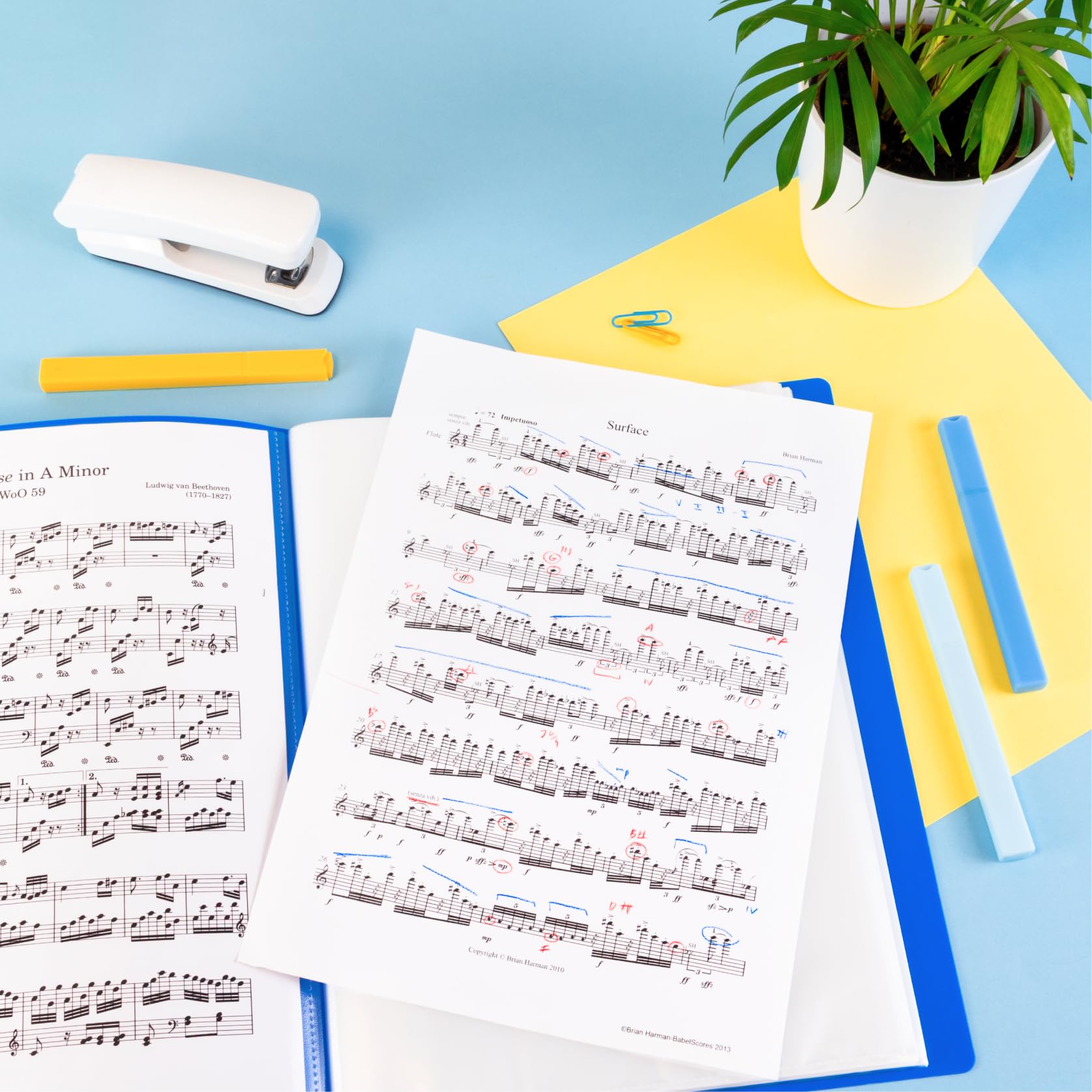 RAYLU PAPER - Carpeta con Fundas Transparentes Tamaño A5, Hecha de Polipropileno 100% Biodegradable, 20 Fundas Transparentes para Documentos en Casa y Oficina (A5, 20 fundas, Azul)