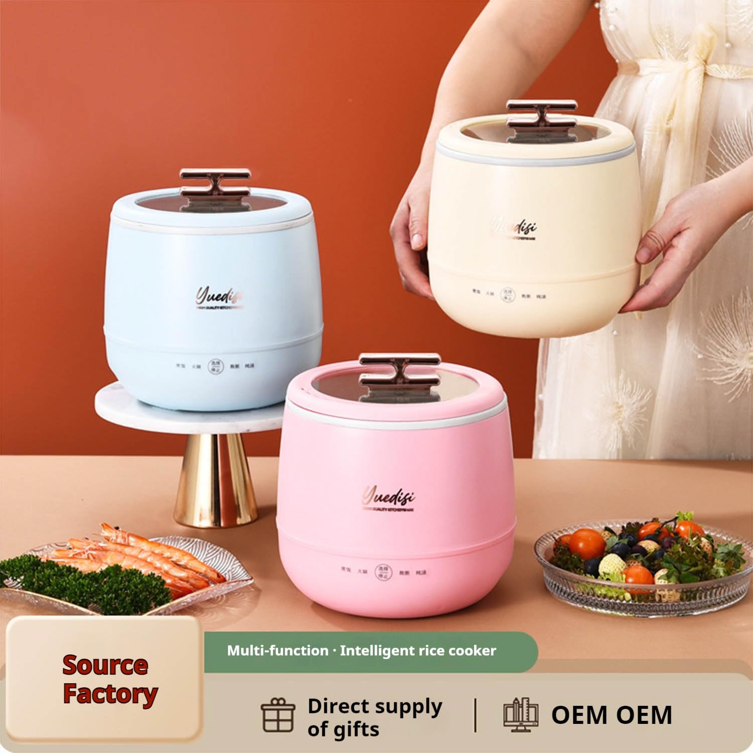 Generic Mini Cuiseur à Riz 1.8L, Cuiseur à Riz pour 2 à 3 Personnes, Antiadhésif, Rose