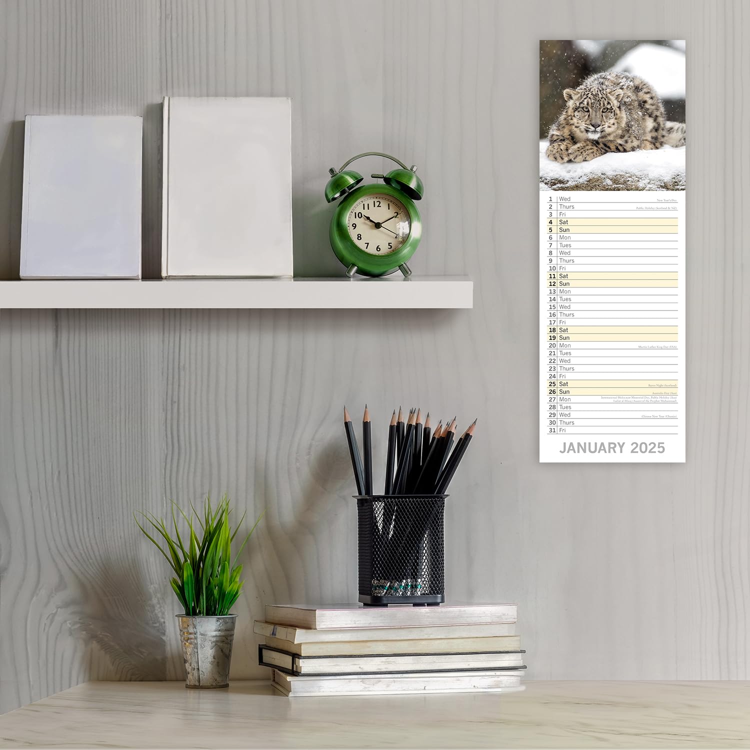 2025 Slimline Wall Calendar, Adorable Animals, 12-Month Animals Theme with 180 Reminder Stickers (14.5 x 42 CM) - Image 2