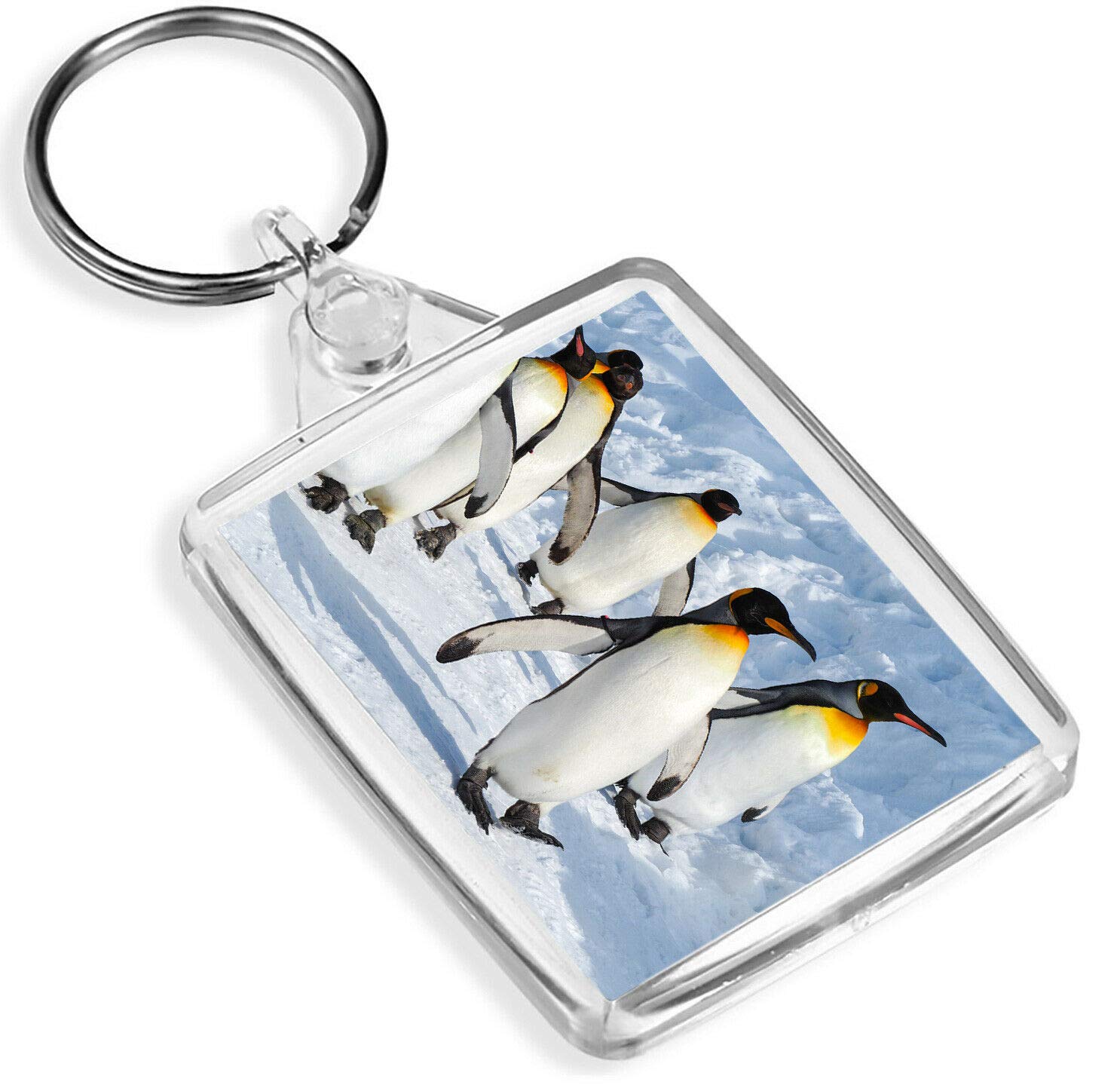 Destination Vinyl Keyrings Unisex Multi Emperor Penguin March Keyring Happy Snowy Feet Fun Keyring #15722
