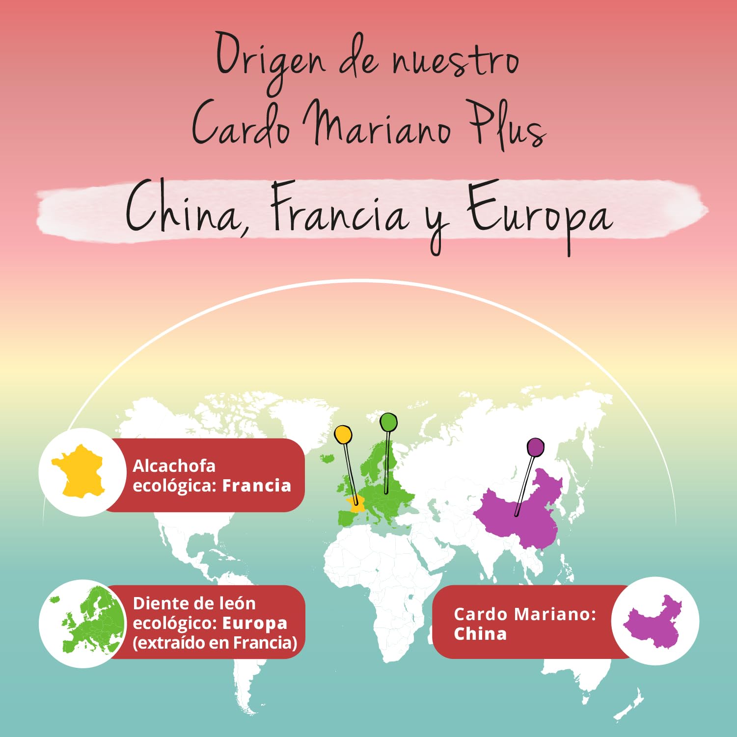 Cardo Mariano + Alcachofa + Diente de León | 120 Cápsulas | ALTA DOSIS con 80% Silimarina | DETOX HIGADO | Vegano & Sin Aditivos | Vegavero
