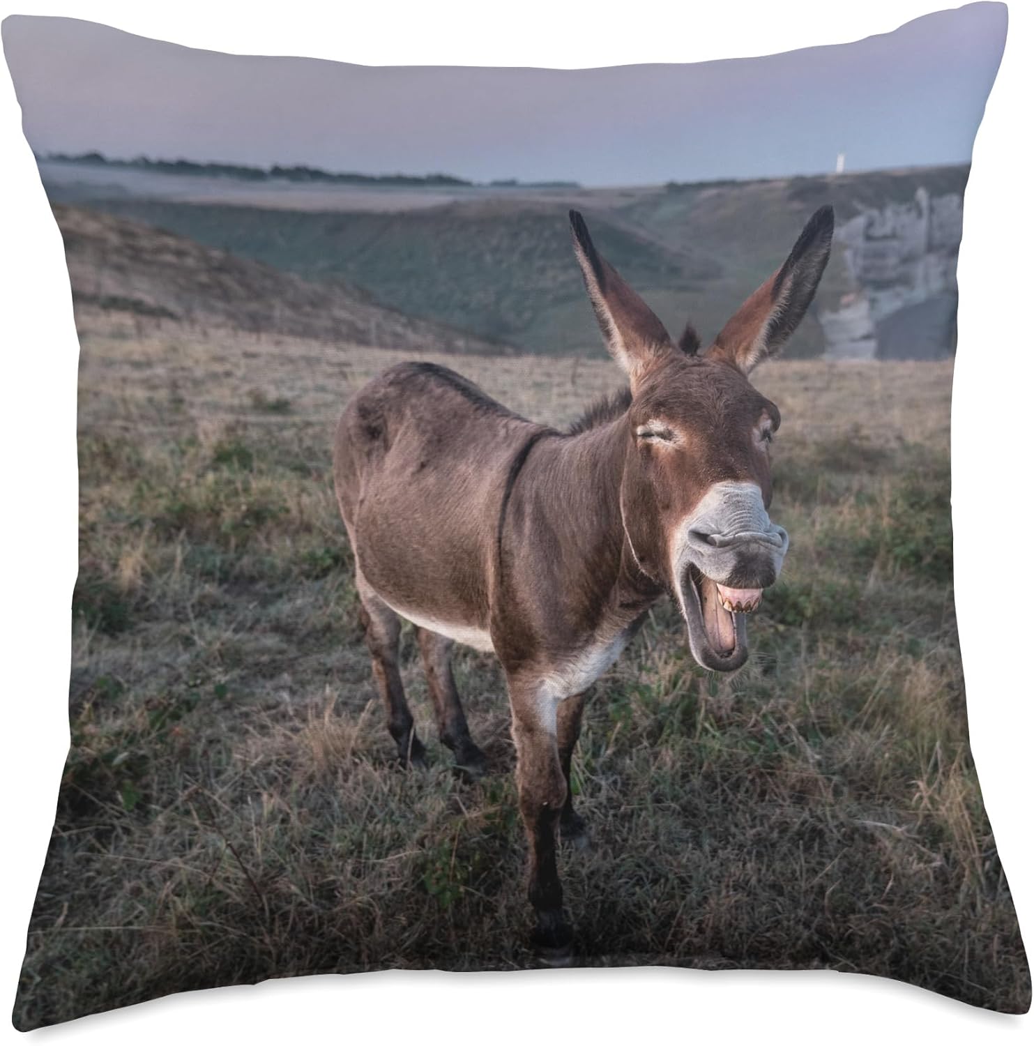 Donkey Throw Pillow