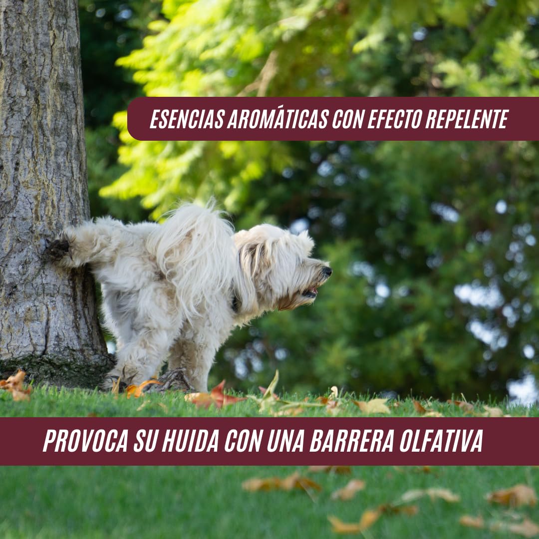 Repelente para Perros y Gatos | Anti micciones | Spray modificador de conducta | Esencias aromaticas | Sin Productos nocivos | 750 ml | anti orines para perros | ahuyentador de perros y gatos
