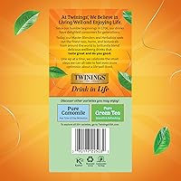 Vista 522 de Twinings Blackcurrant Breeze - Té negro, 6 paquetes de 20 unidades, bolsas de té envueltas individualmente, dulce, sabor picante, con cafeína