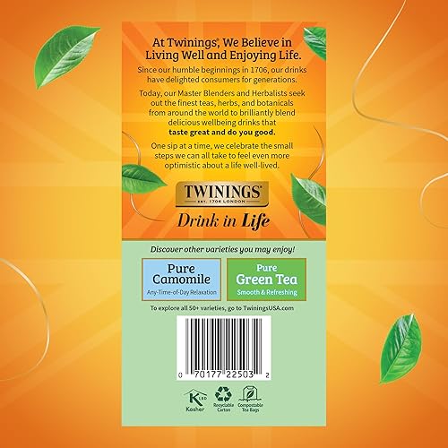 Vista 529 de Twinings, Pure Green Tea - Té verde con sabor suave y aroma atractivo con cafeína, disfruta caliente o helado, bolsas de té individuales