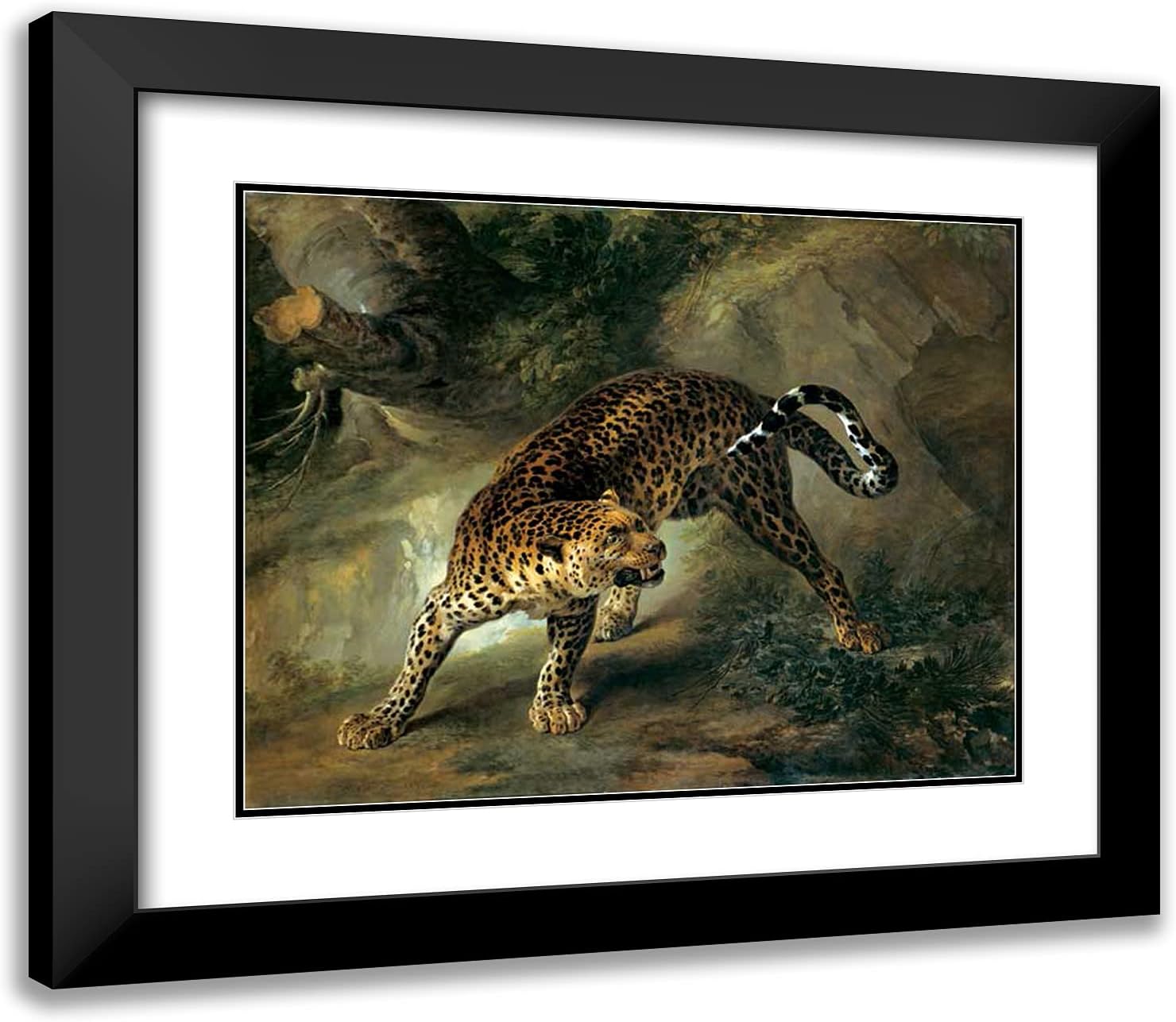 ArtDirect Oudry, Jean 23x20 Black Modern Framed Art Print Titled: Leopard