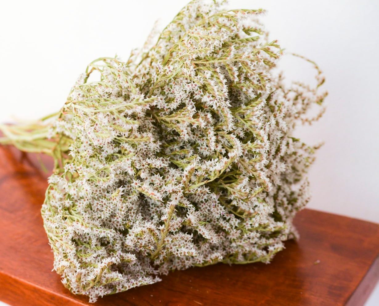 Four Ounce Bunch of Dried German Statice, White Dried Statice Wedding Decor Flowers, BunchHome Decor Flowers, DIY Craft Flowers, Event Decoration Flowers, Wreath Making Supplies, Vintage Flower Decor