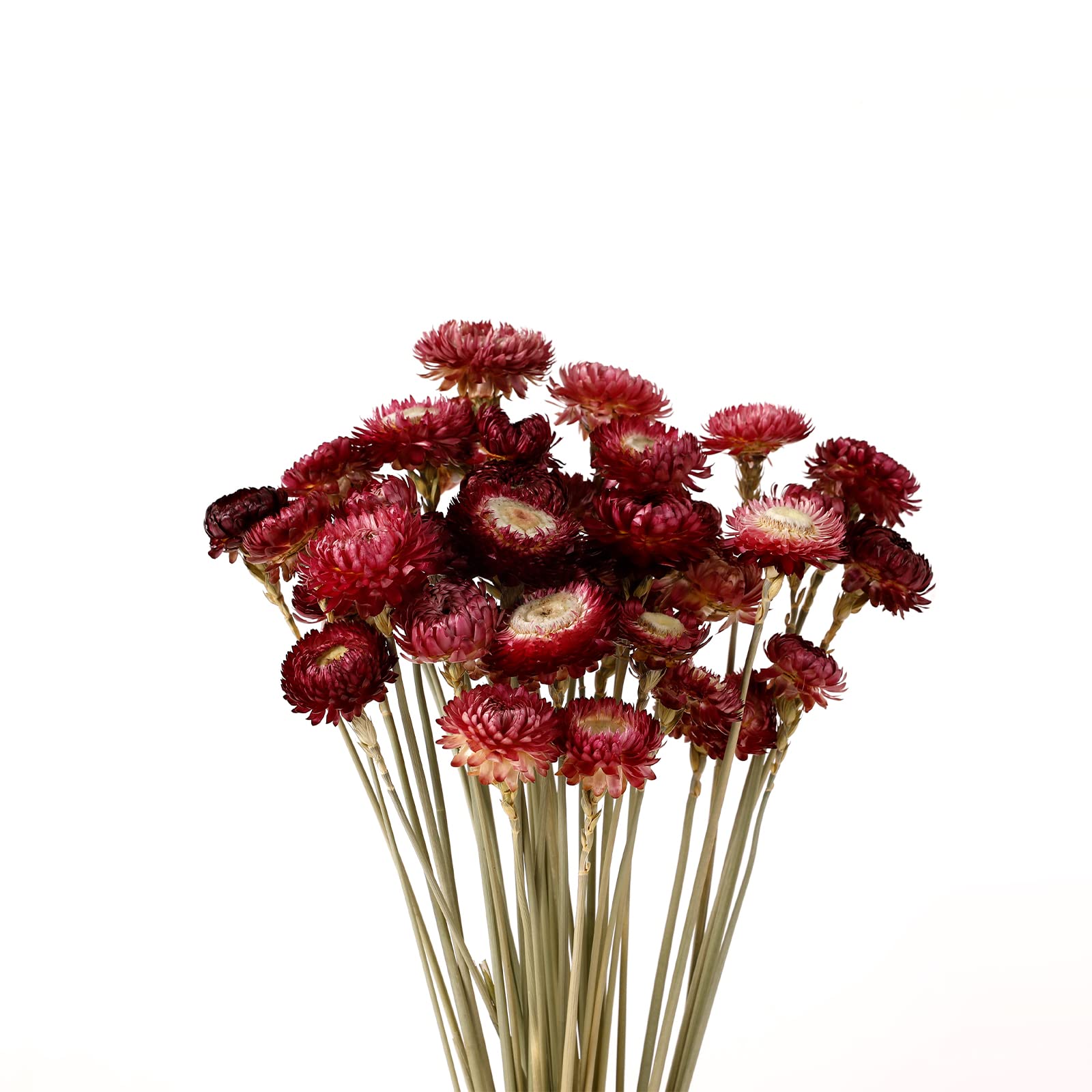 Dried Flower 40PCS Daisy Bouquet 100% Natural Chrysanthemum Dry Flower with Stem for Vase Home décor Party DIY Arrangement Wheat Straw Bulk (Burgundy)