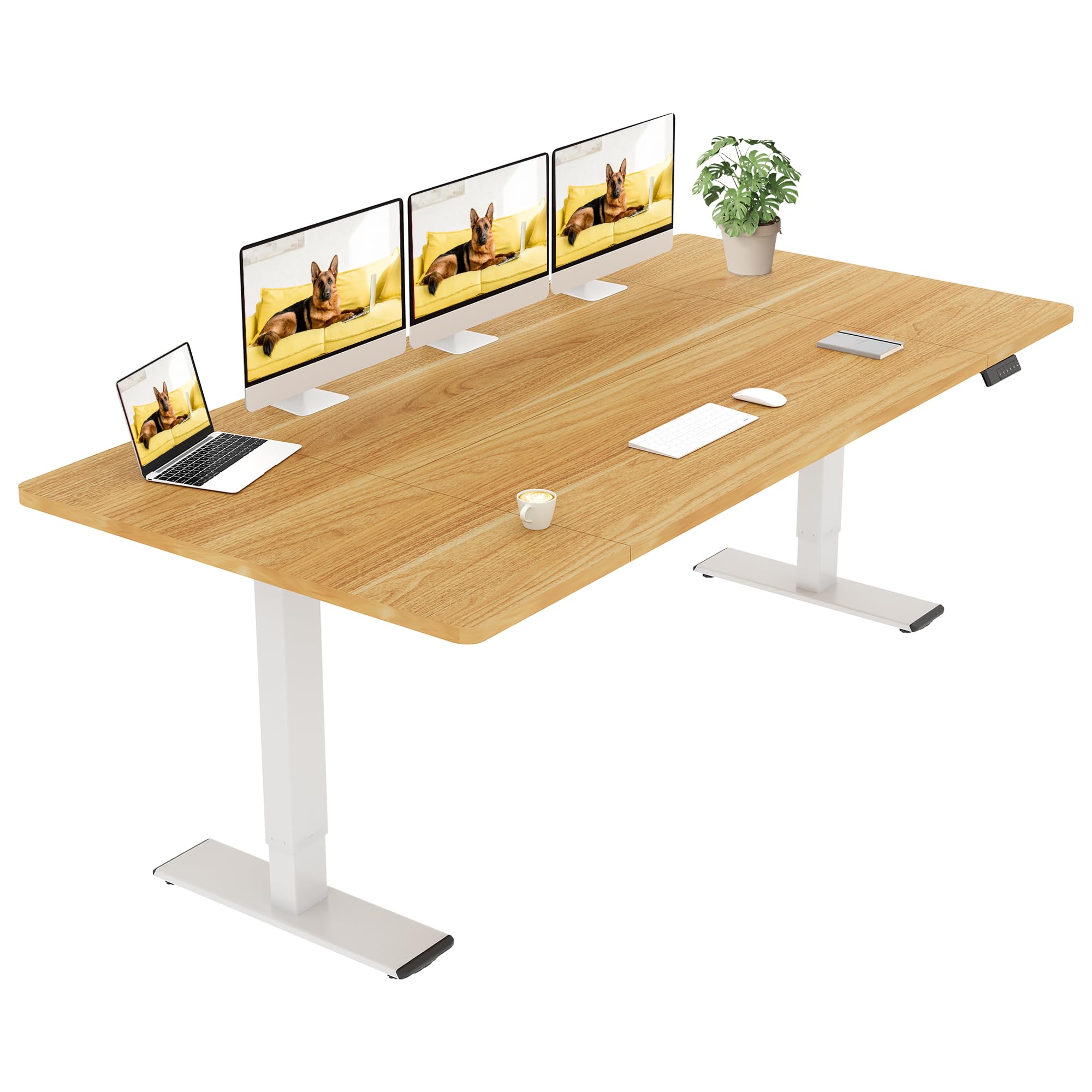 SANODESK Höhenverstellbarer Schreibtisch 200×80 cm – Elektrischer Sitz-Steh-Tisch mit Dualmotor, Großer Arbeitstisch für Büro & Home Office(weiß+ahorn)
