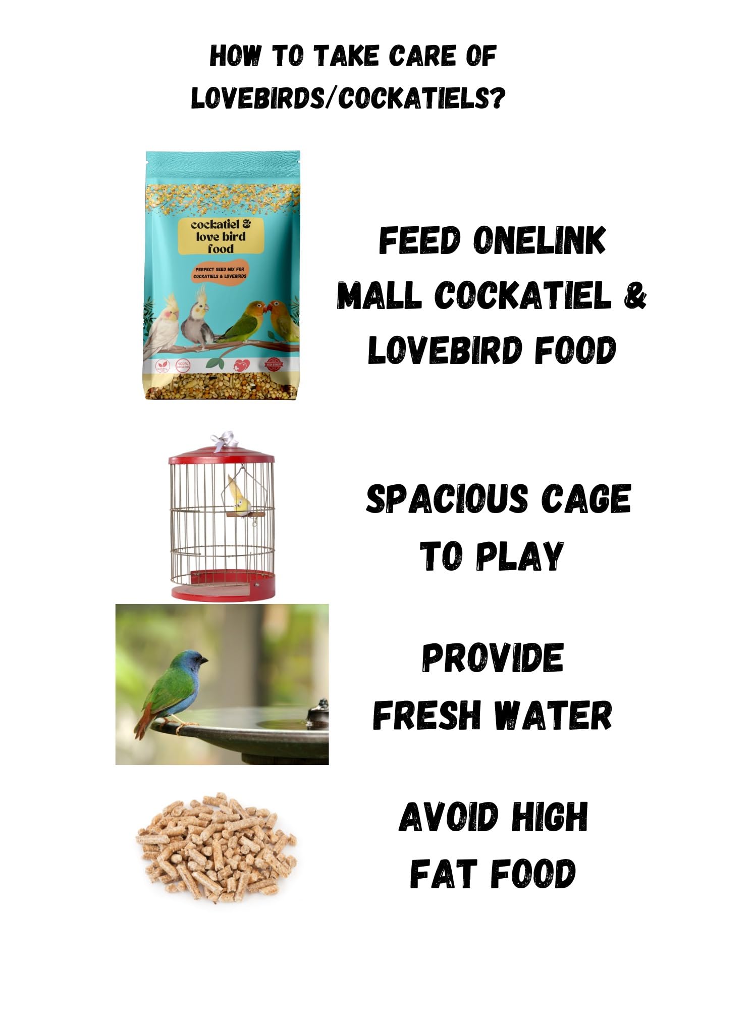 ONELINK MALL Adult Bird Food for Cockatiel & Love Birds Canary Seed, Sunflower Seed, All Stage Bird Food, Natural and Healthy Premium Mix Seeds, Cocktail Love Birds Mix 500 gm 2