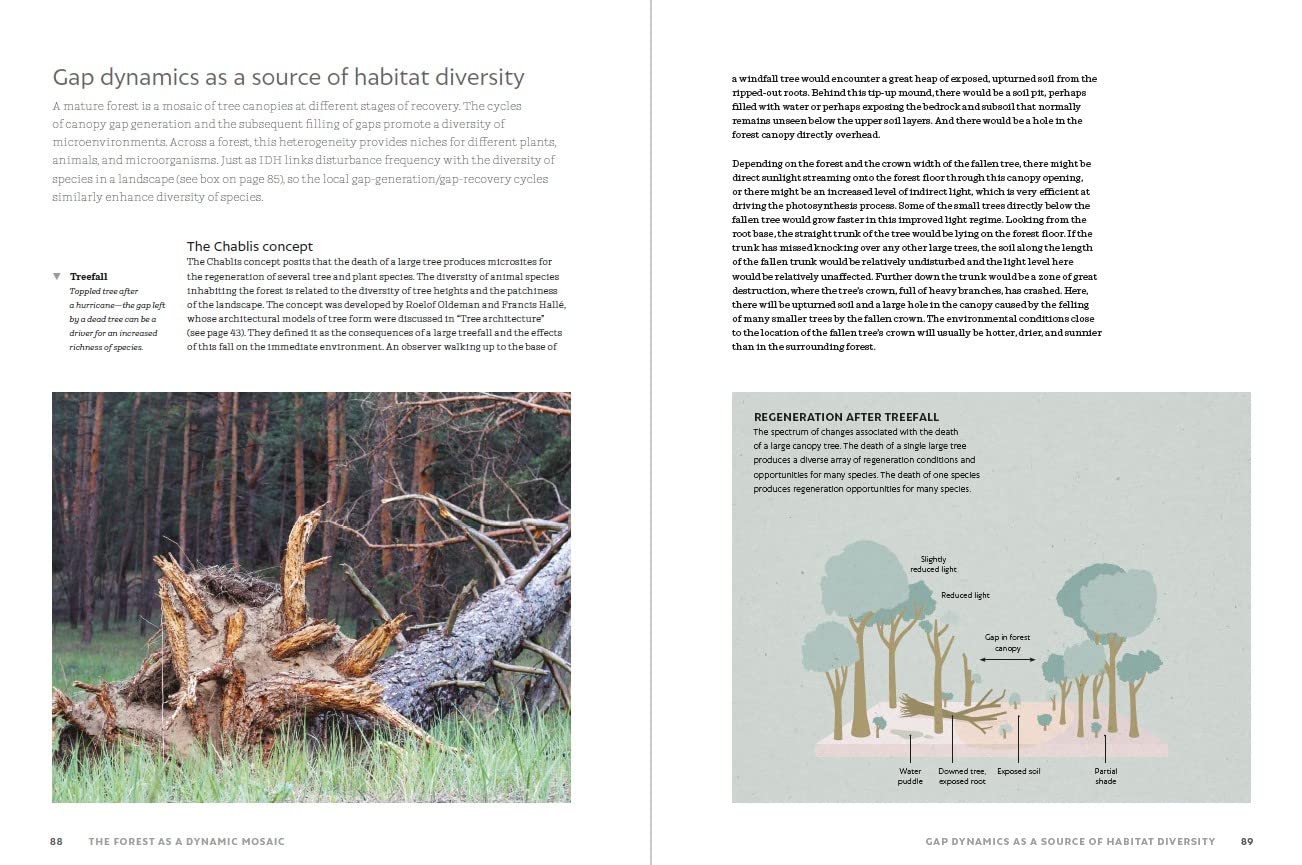 The World Atlas of Trees and Forests: Exploring Earth's Forest Ecosystems