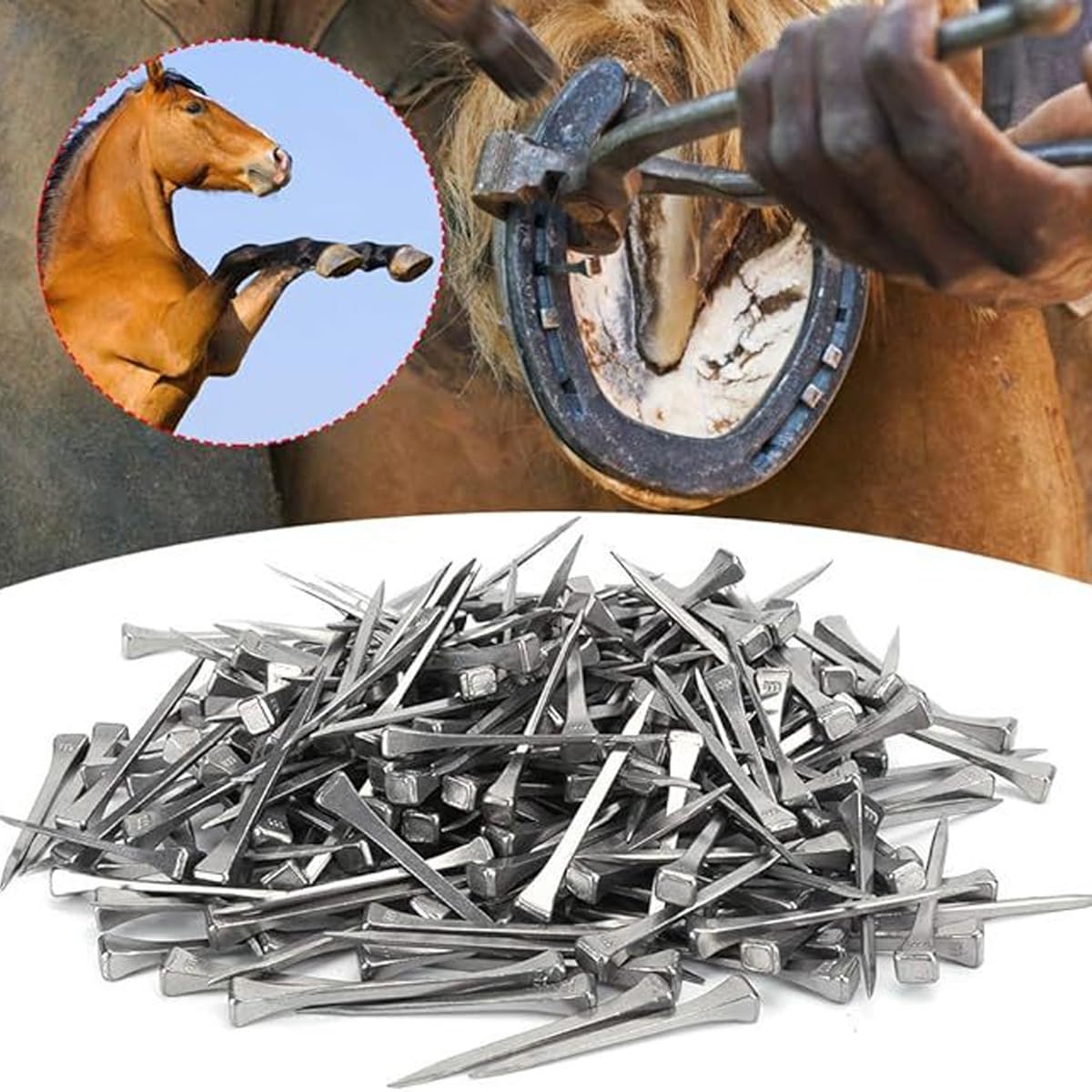 100 clavos para cascos de caballo E2 de 41 mm, de acero dulce, para carreras y deportes ecuestres.