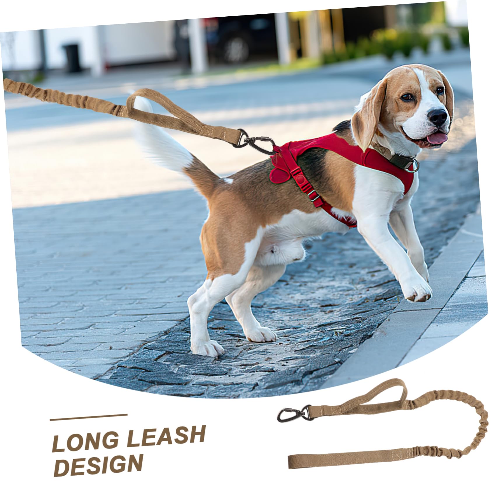 Kisangel 3pièces Laisse De Dressage pour Chien Nylon Élastique Réglable Parfaite pour Promenades Activités Extérieur