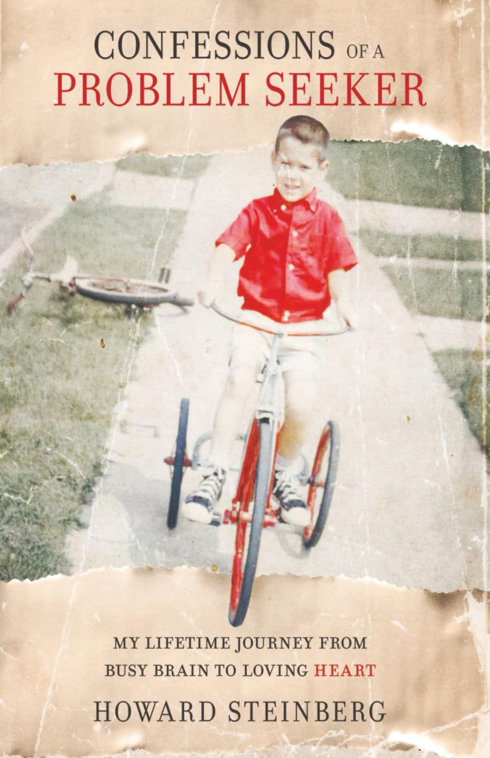 Confessions of a Problem Seeker: My Lifetime Journey From Busy Brain To Loving Heart