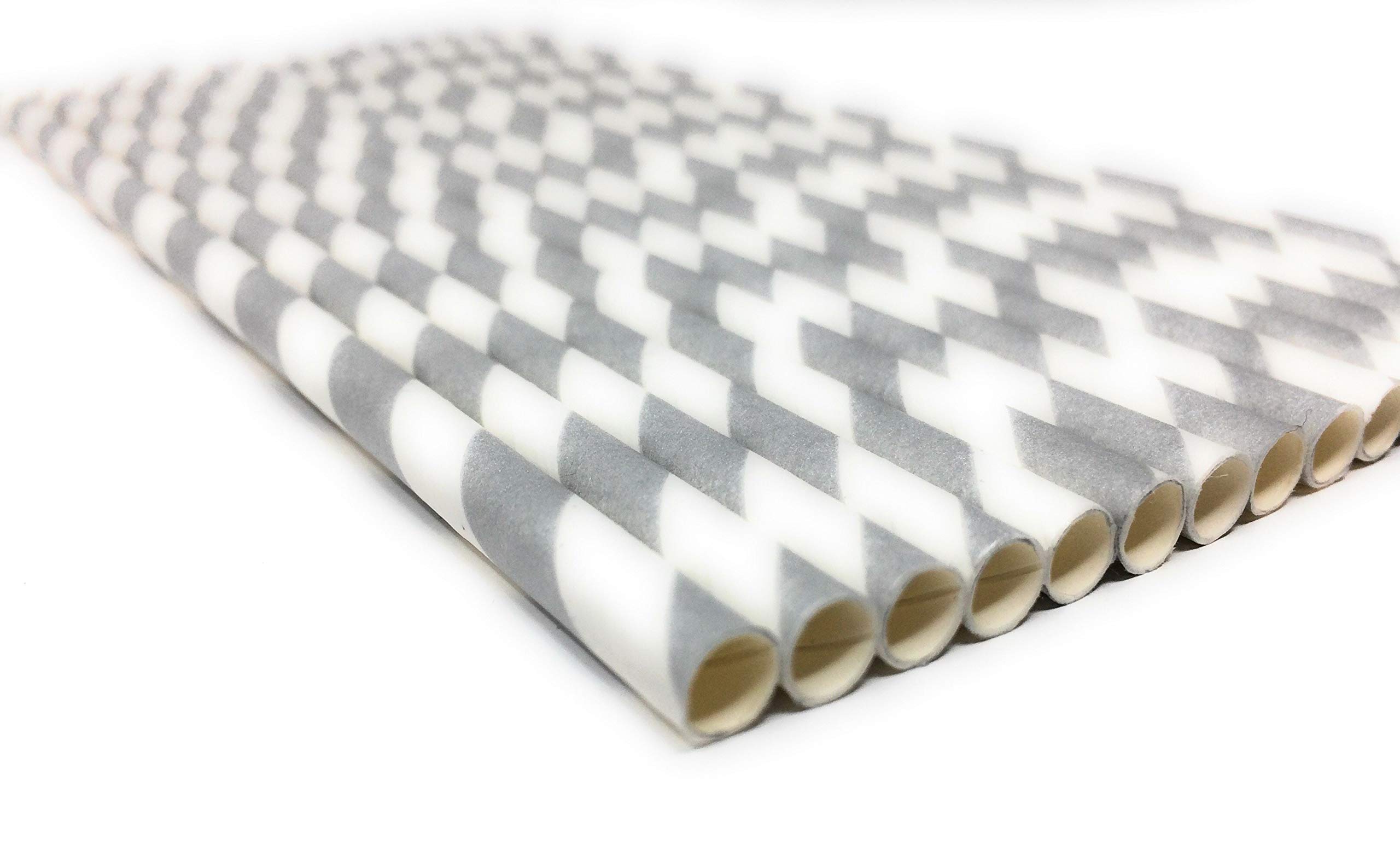 Picture Perfect Party Silver Stripes Premium Paper Straws [Pack Of 25 Drinking Straws] By (Silver Stripes)