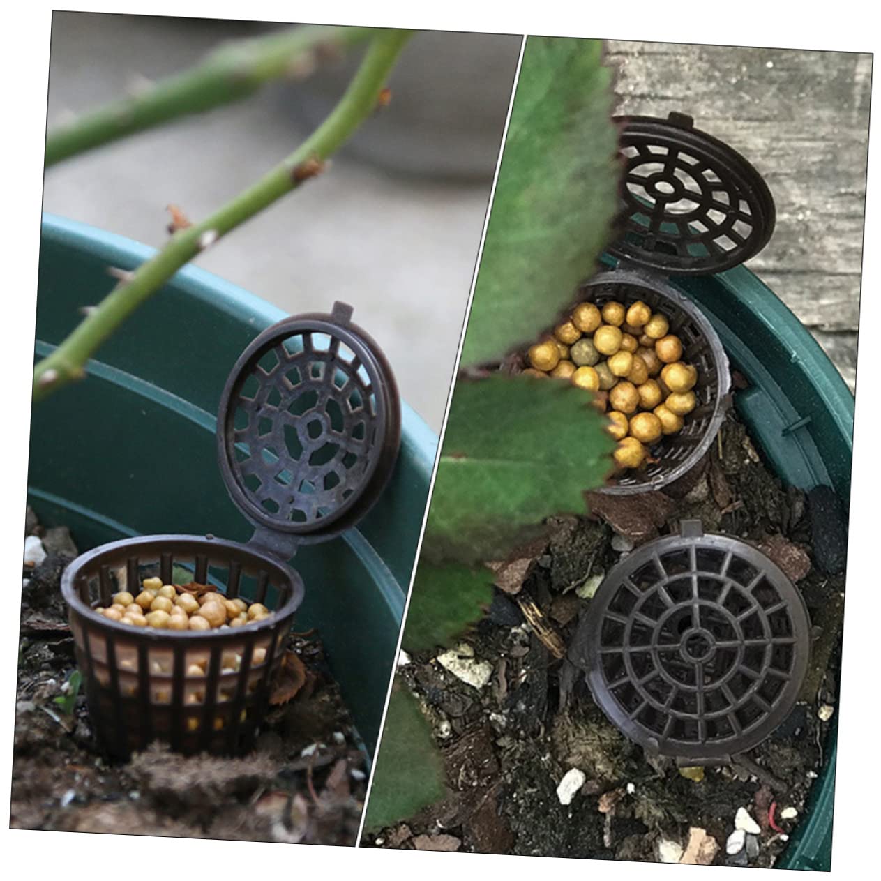 BESPORTBLE 150pièces Boîte à Engrais Réutilisable Avec Couvercle Lot De Contenants Pour Fertilisant De Plantes Idéale Pour Bonsaïs Et Jardinage Les Animaux Vent