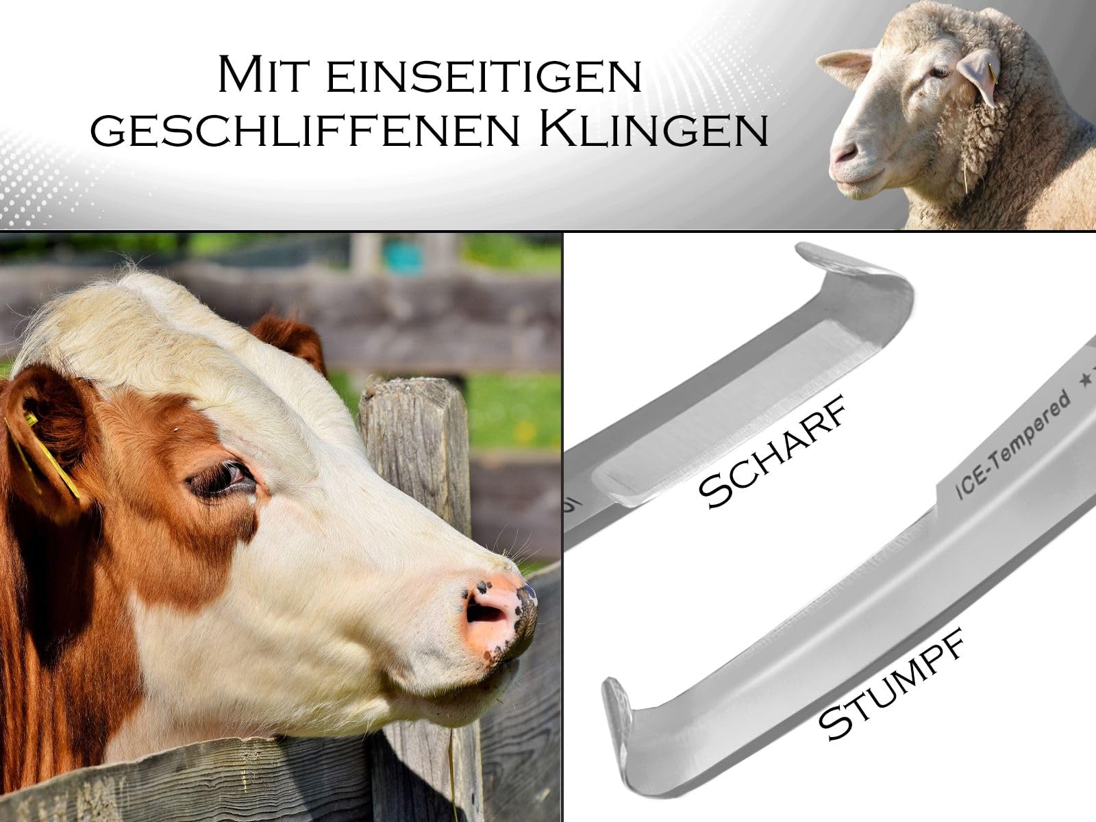 Pferde Hufmesser 7er Set Schlaufenmesser Klauenmesser Hufschneidemesser
