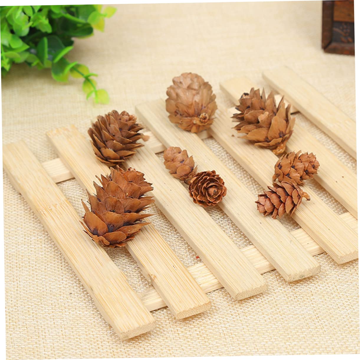 Ciieeo 210 Piezas Piñas Naturales Decoraciones de Piñas Secas Hogar para Acción de Gracias y Navidad Adorno Vegetal