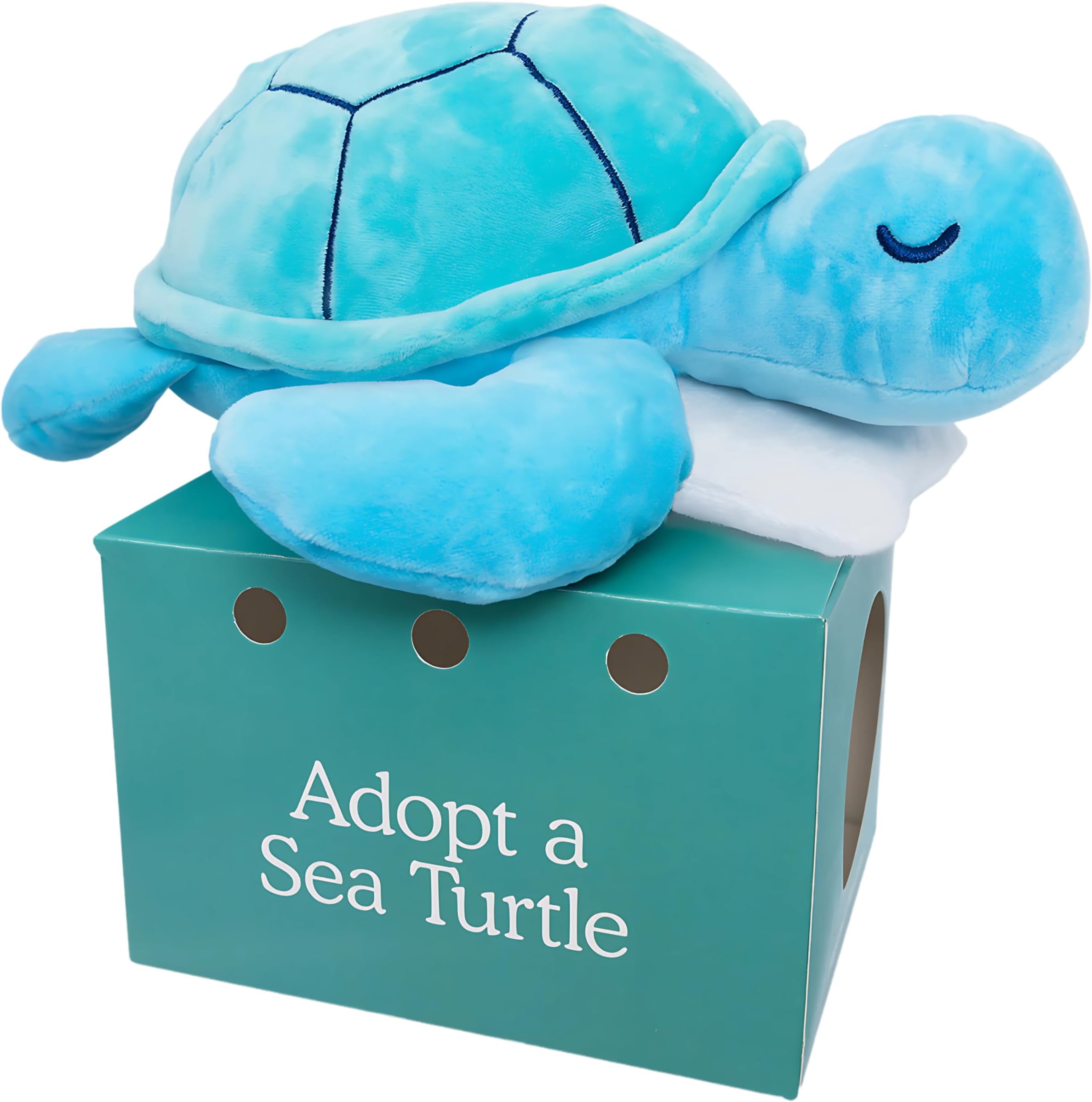 Follow Your Legend Sam The Sea Turtle Plush with Pillow Accessory - 10" Adopt Me Plushies, Stuffed Turtle, Sea Turtle Stuffed Animal, Small Turtle Plush