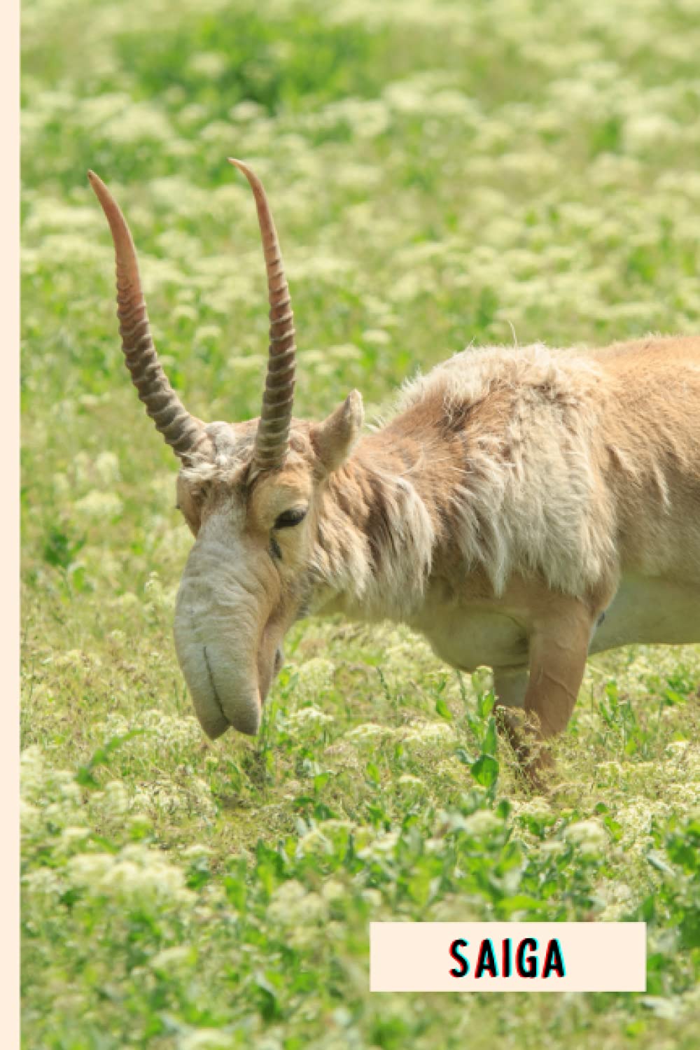 Saiga: Composition Notebook For Saiga Lovers , Saiga Lined Journal ,6x9 Inches , 110 Pages ,Saiga Diary