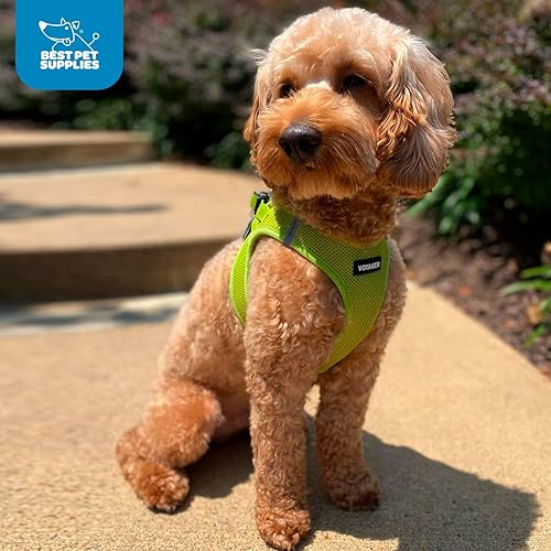 Vista 242 de Best Pet Supplies Voyager Step-in Air - Arnés de malla para todo tipo de clima, reflectante, antitirones, para perro y gato pequeño y mediano, Arnés