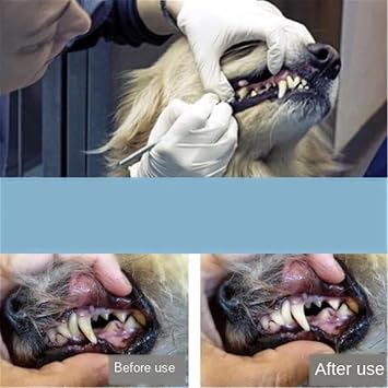 Calculus Remover for Dog, 3pcs Stainless Steel Tarter Remover Oral Tool Pet Dog Cat Dental Teeth Cleaning Tools (3PCS)
