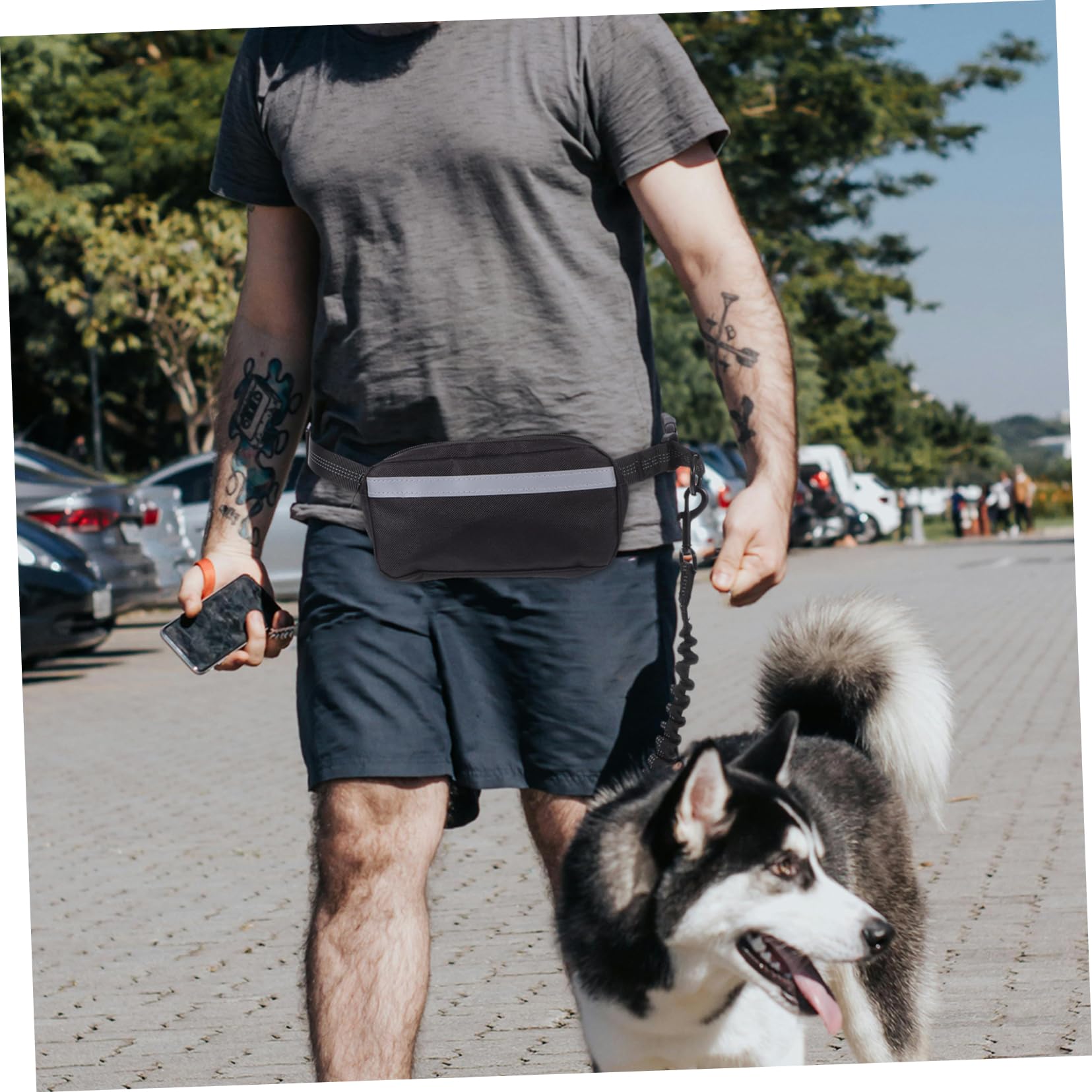 Guinzaglio da Corsa per Cani Elastico Riflettente Nero | Poliestere Leggero, Cintura con Waist Bag Inclusa, per Outdoor e Hiking